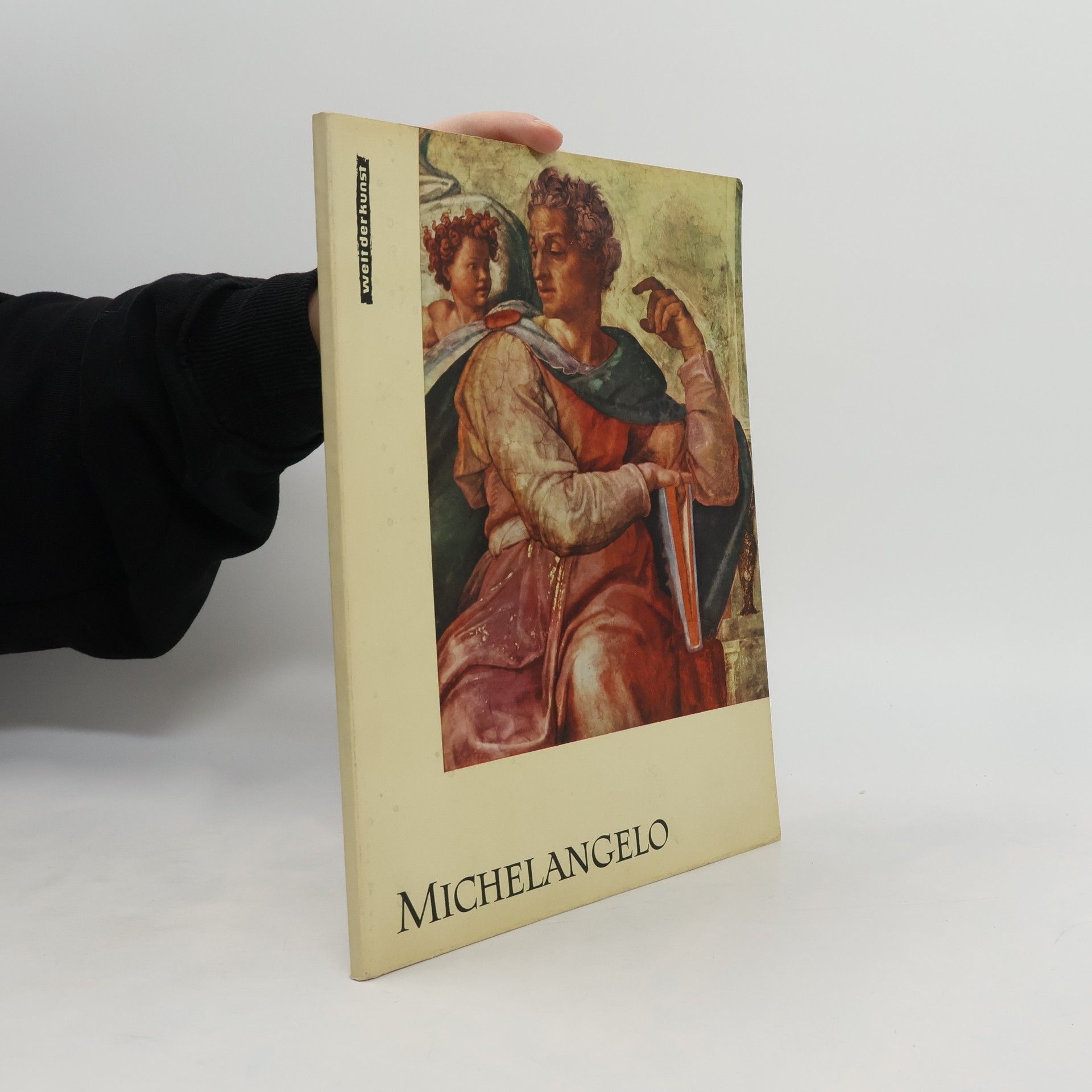 Michelangelo Michelangelo