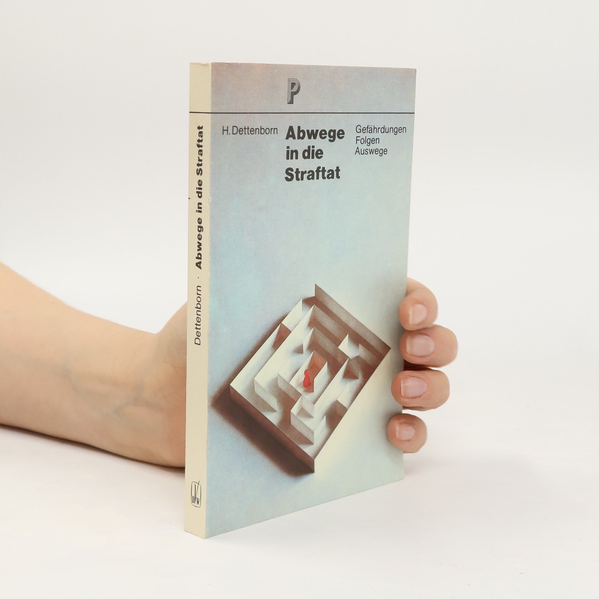 Harry Dettenborn Abwege in die Straftat