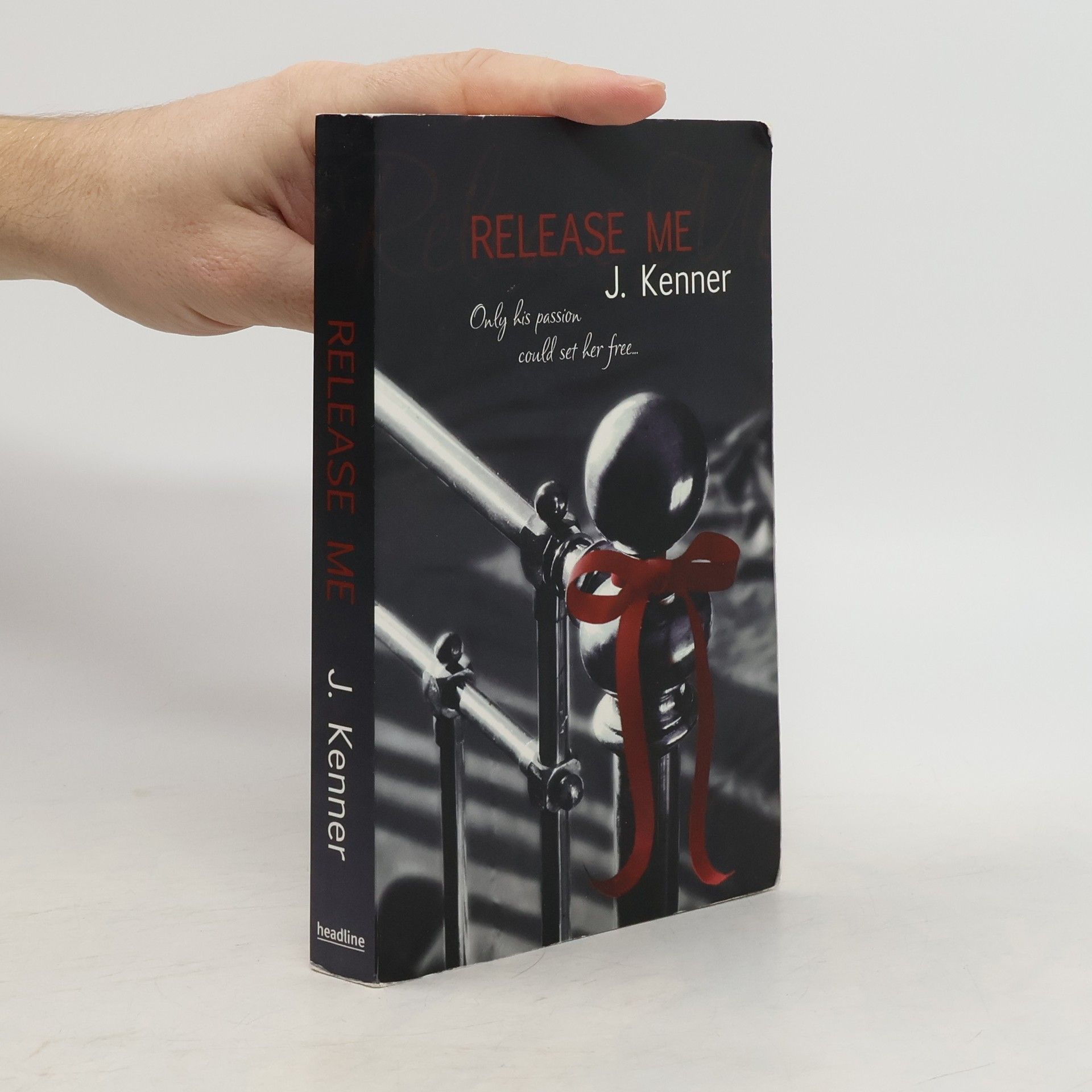 Julie Kenner Release Me