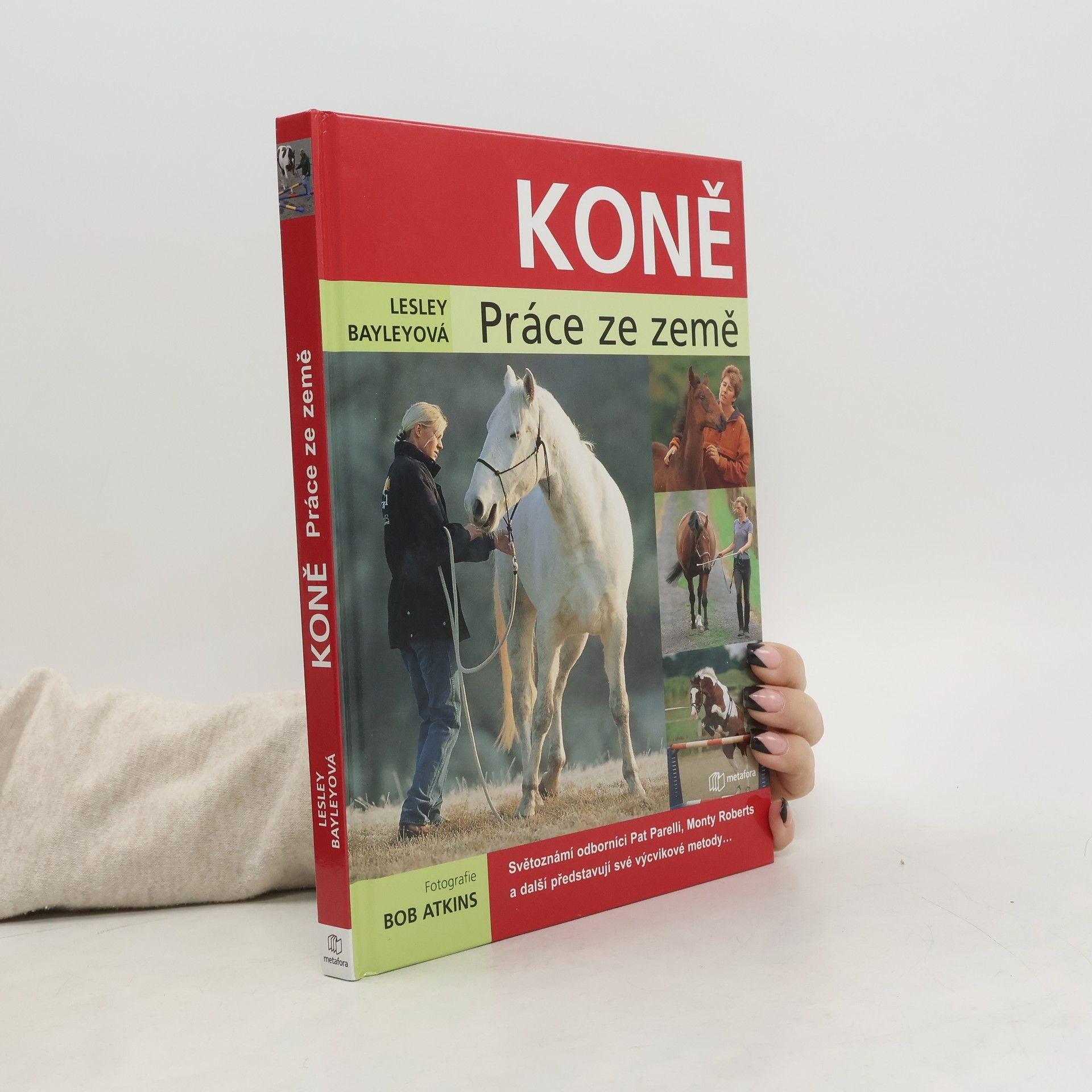 Koně. Práce ze země