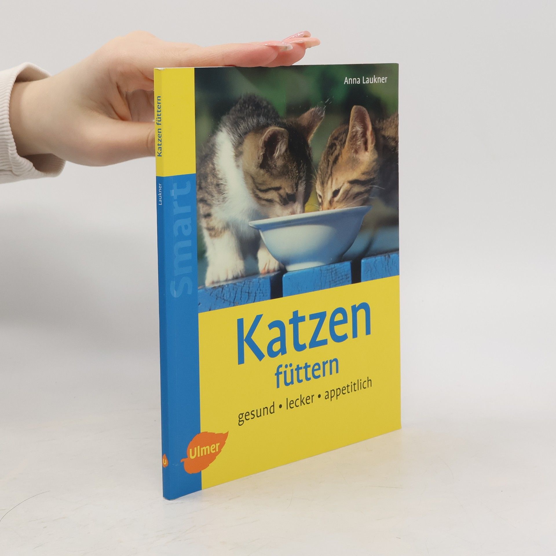 Katzen füttern