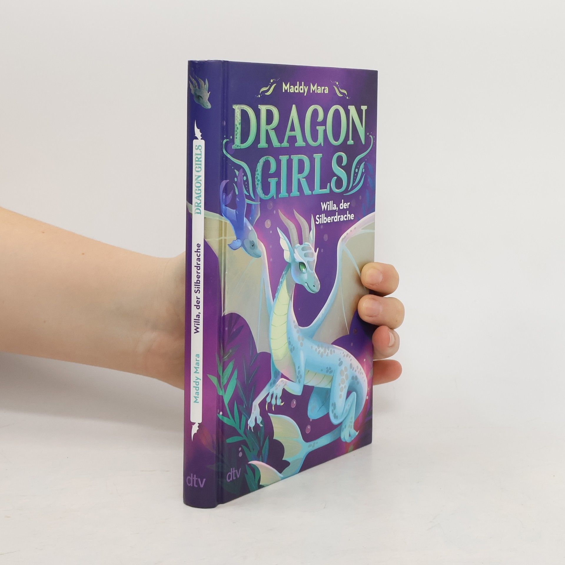 Dragon Girls - Willa, der Silberdrache