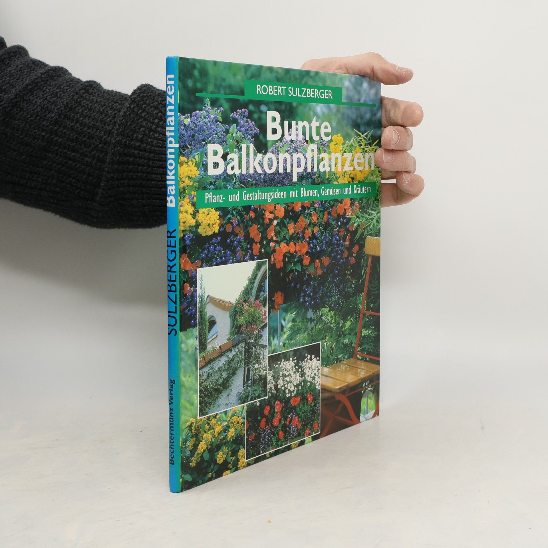 Bunte Balkonpflanzen