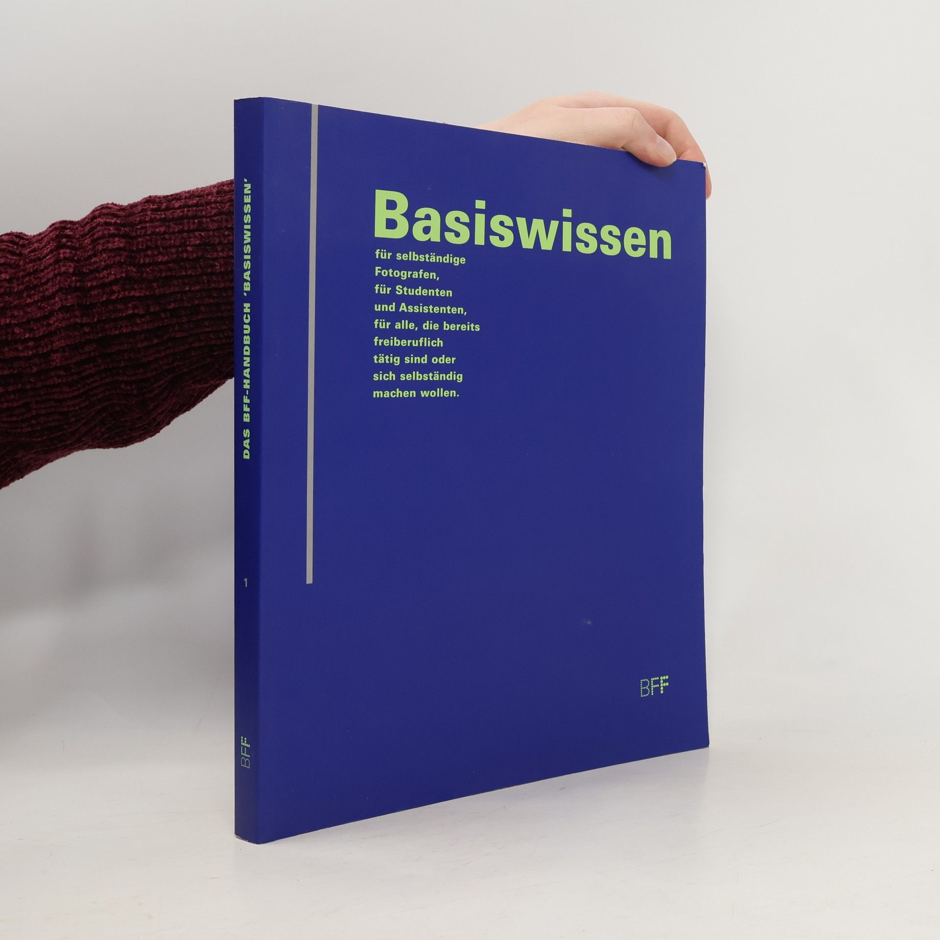 Das BFF-Handbuch - 1: Basiswissen