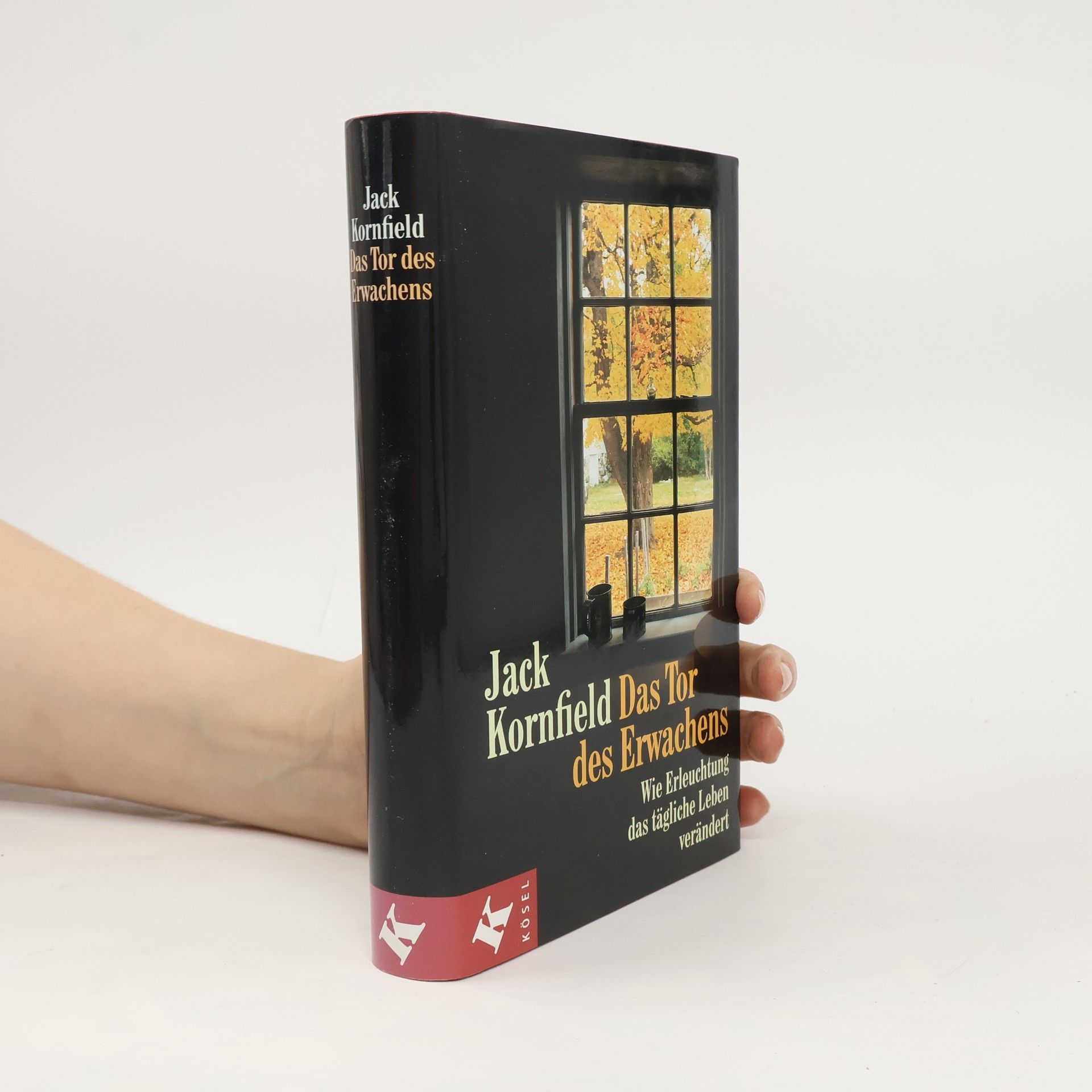 Jack Kornfield Das Tor des Erwachens