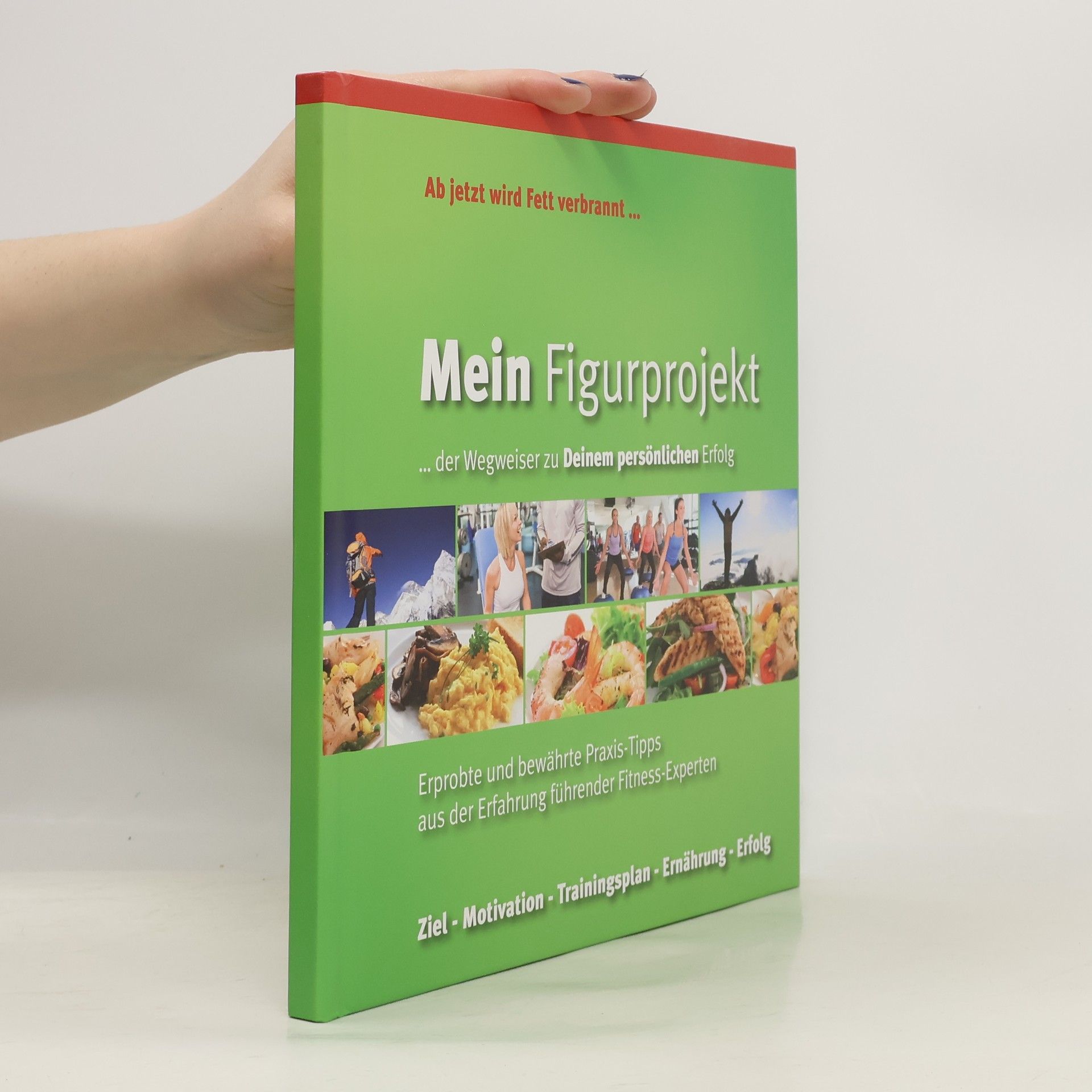 Autorenkollektiv Mein Figurprojekt