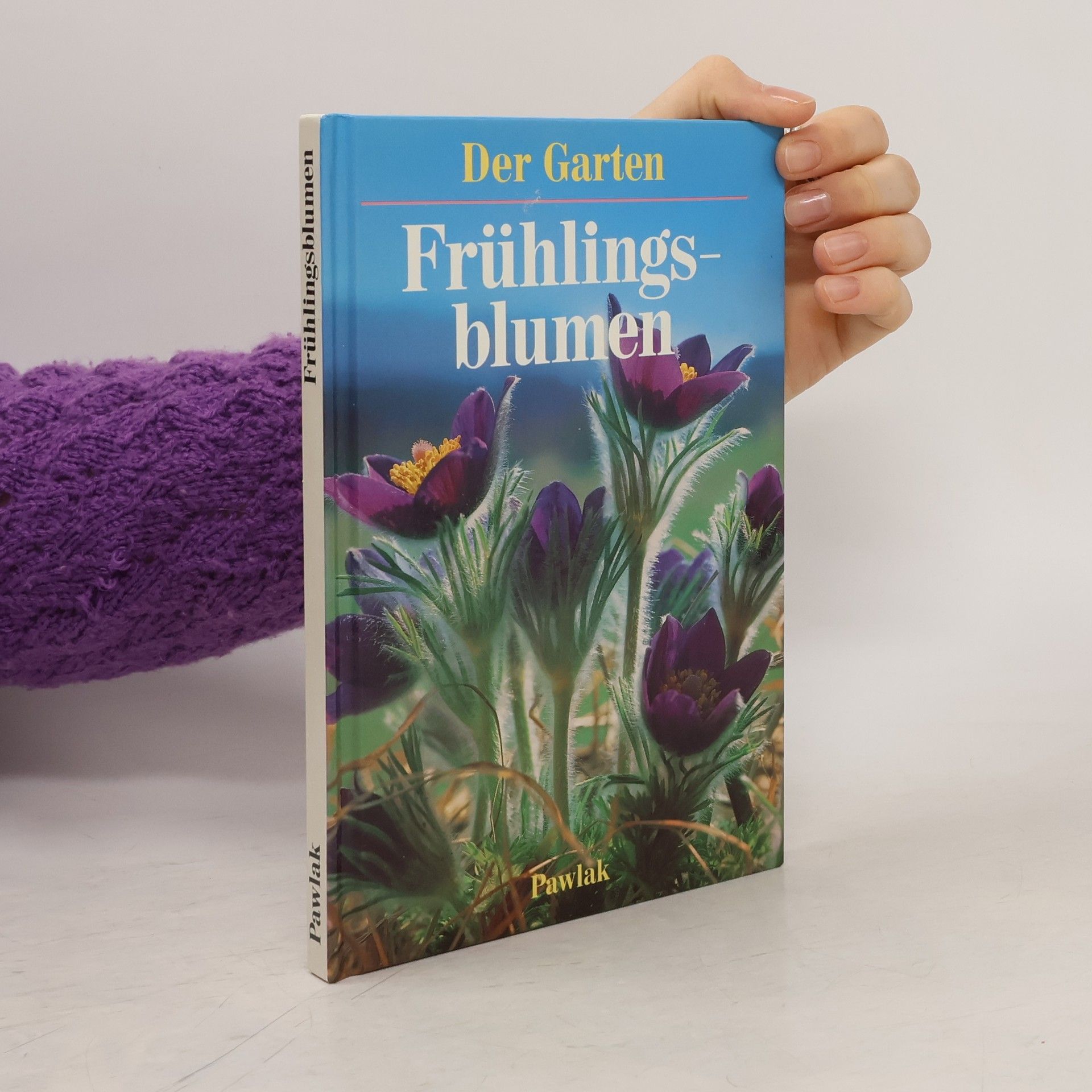 Ute York Frühlingsblumen