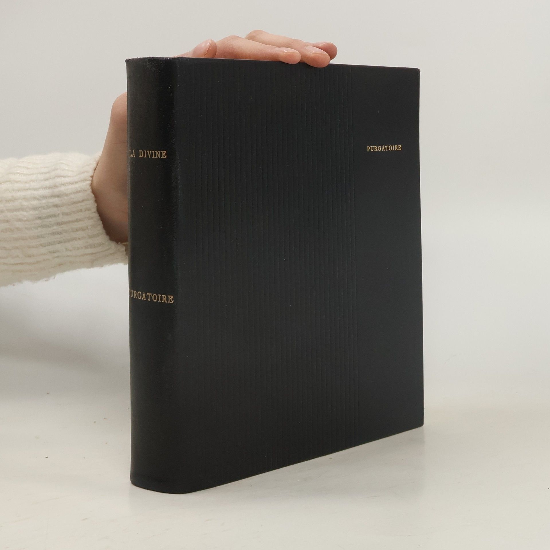 Dante Alighieri La Divine Comédie. Purgatoire