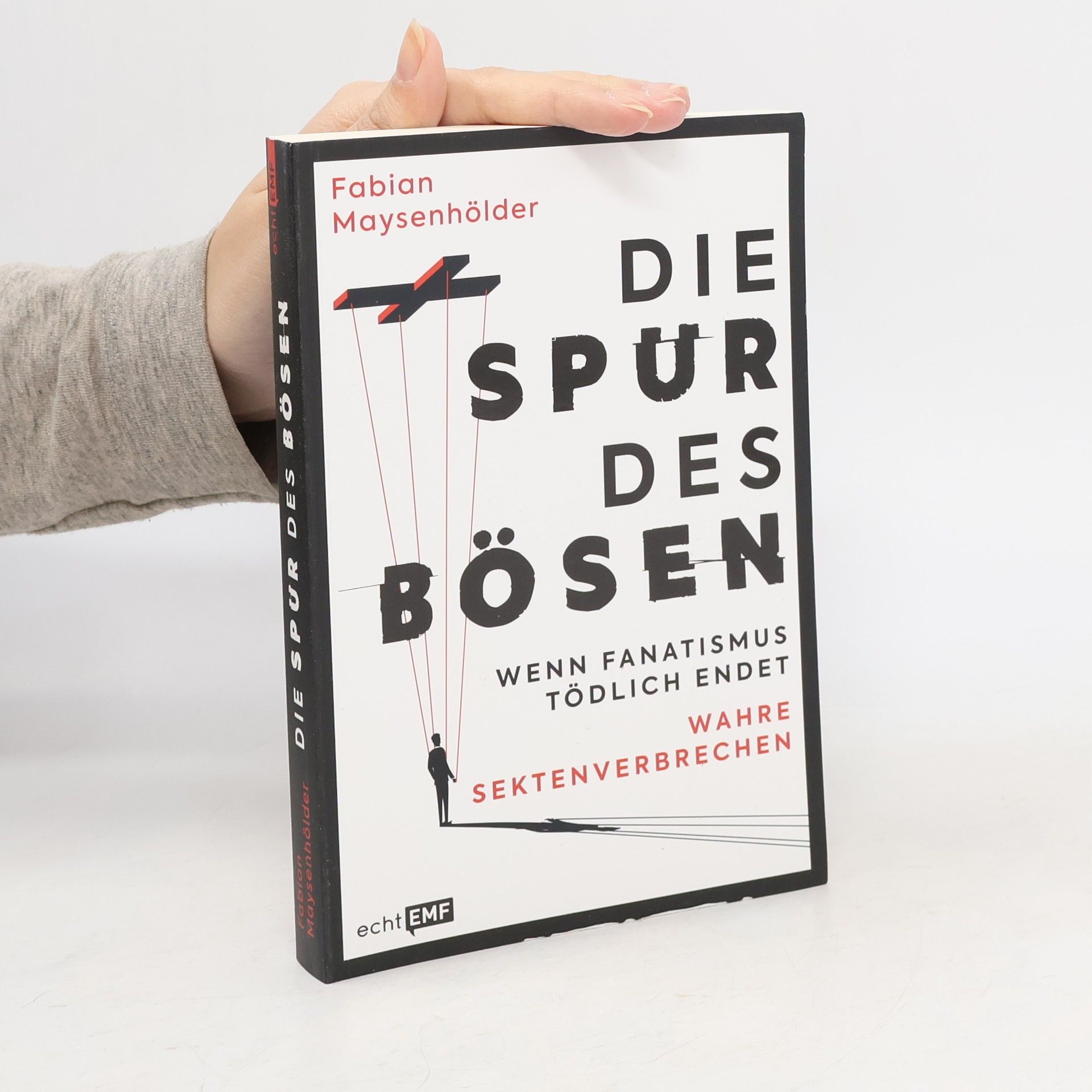 Fabian Maysenhölder Die Spur des Bösen