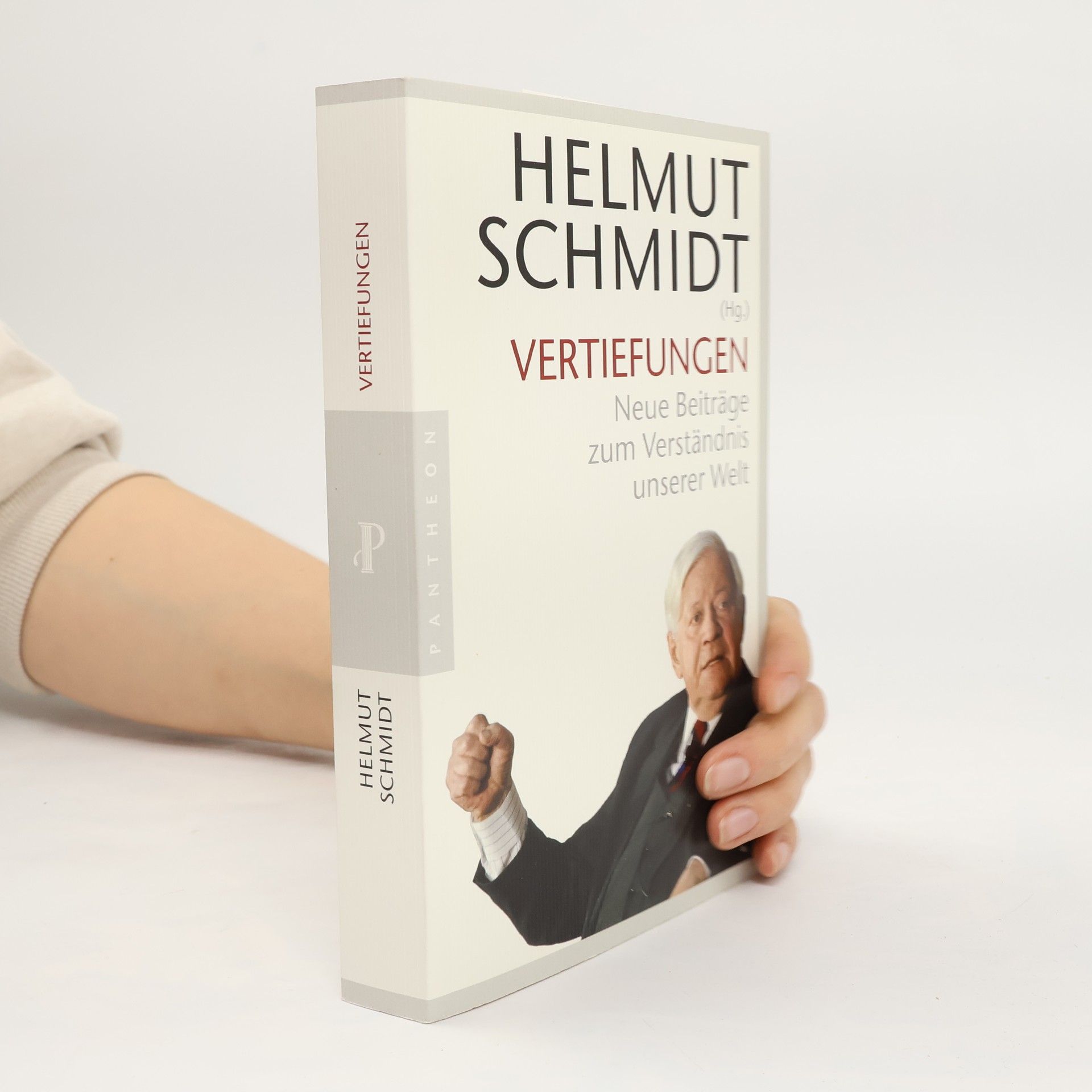 Helmut Schmidt Vertiefungen
