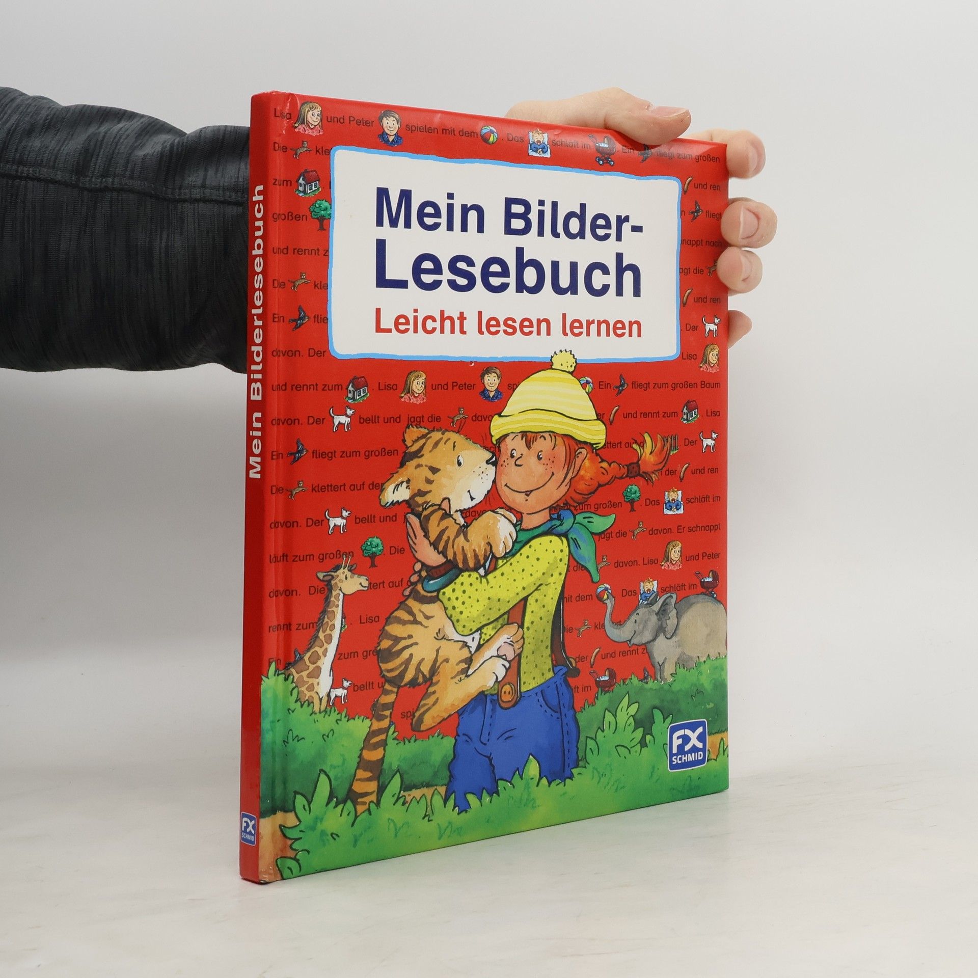 Autorenkollektiv Mein Bilderlesebuch