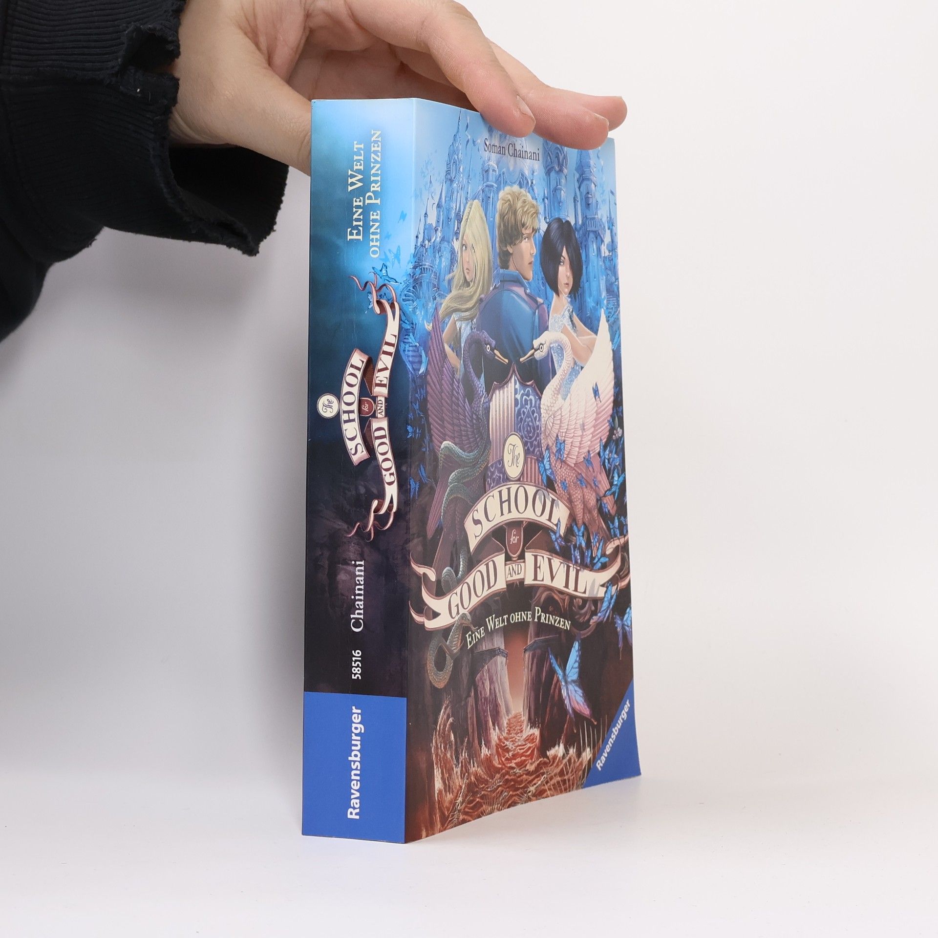 Soman Chainani Eine Welt ohne Prinzen