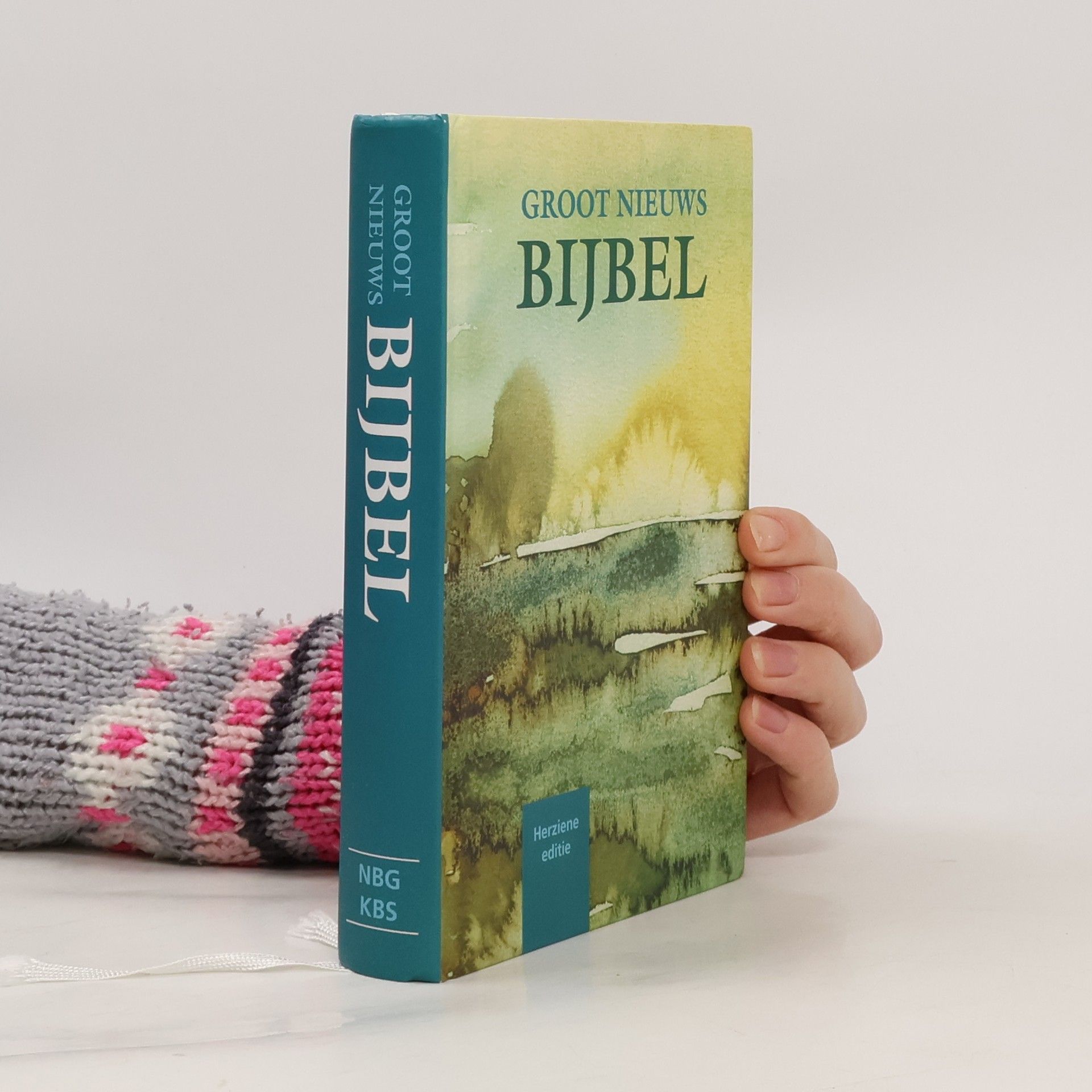 Collectif d'auteurs Groot Niewws Bijbel