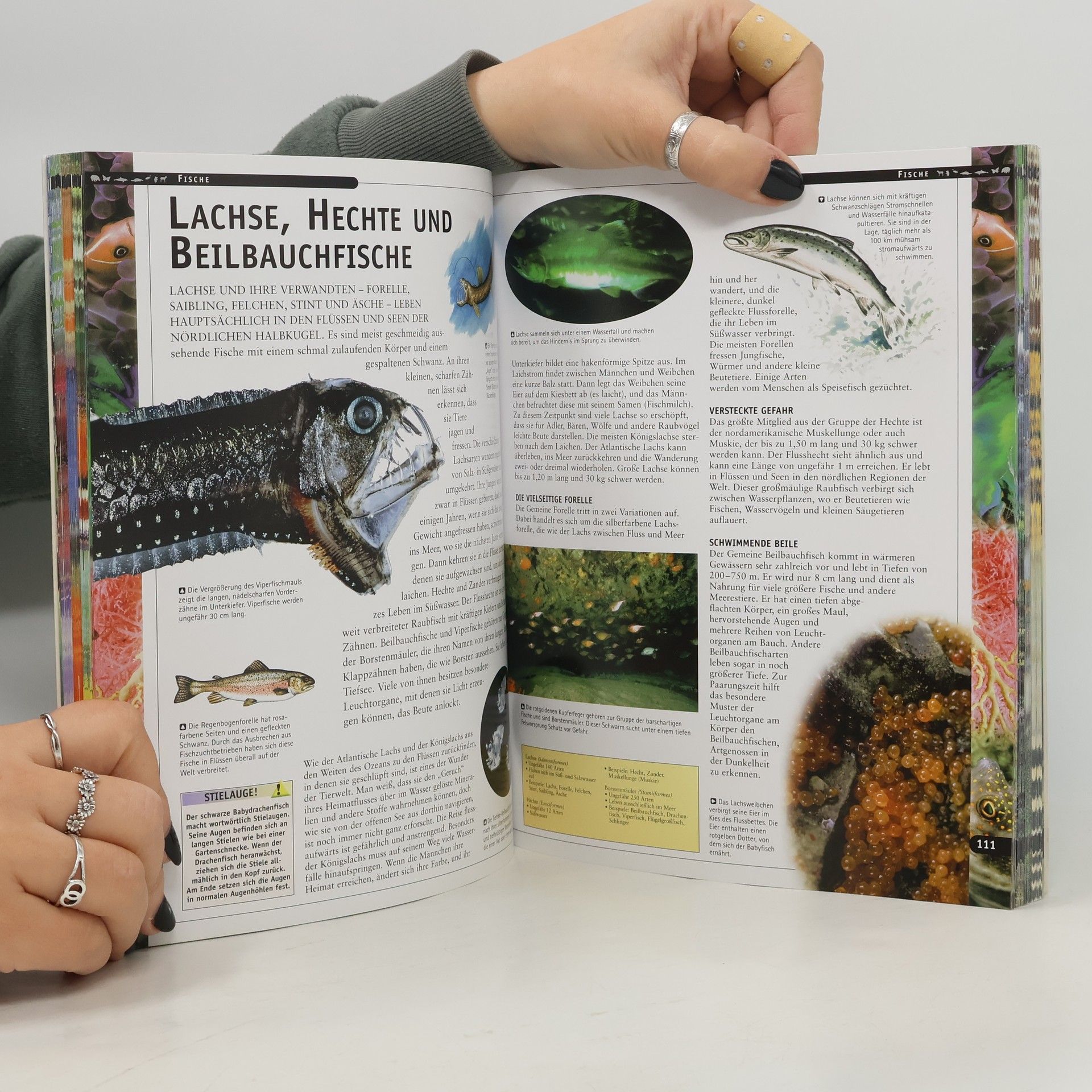 Martin Walters Die Welt der Tiere
