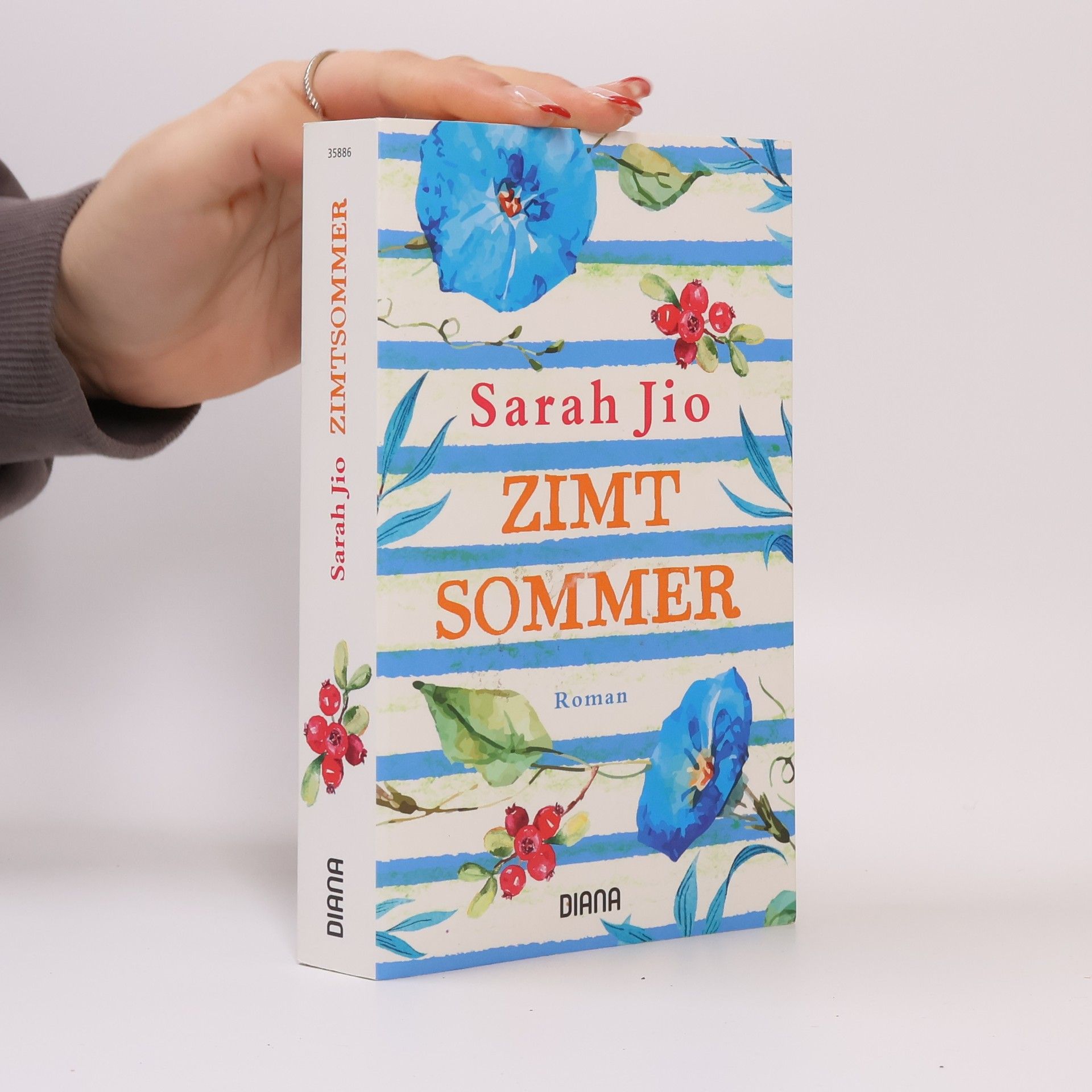 Sarah Jio Zimtsommer