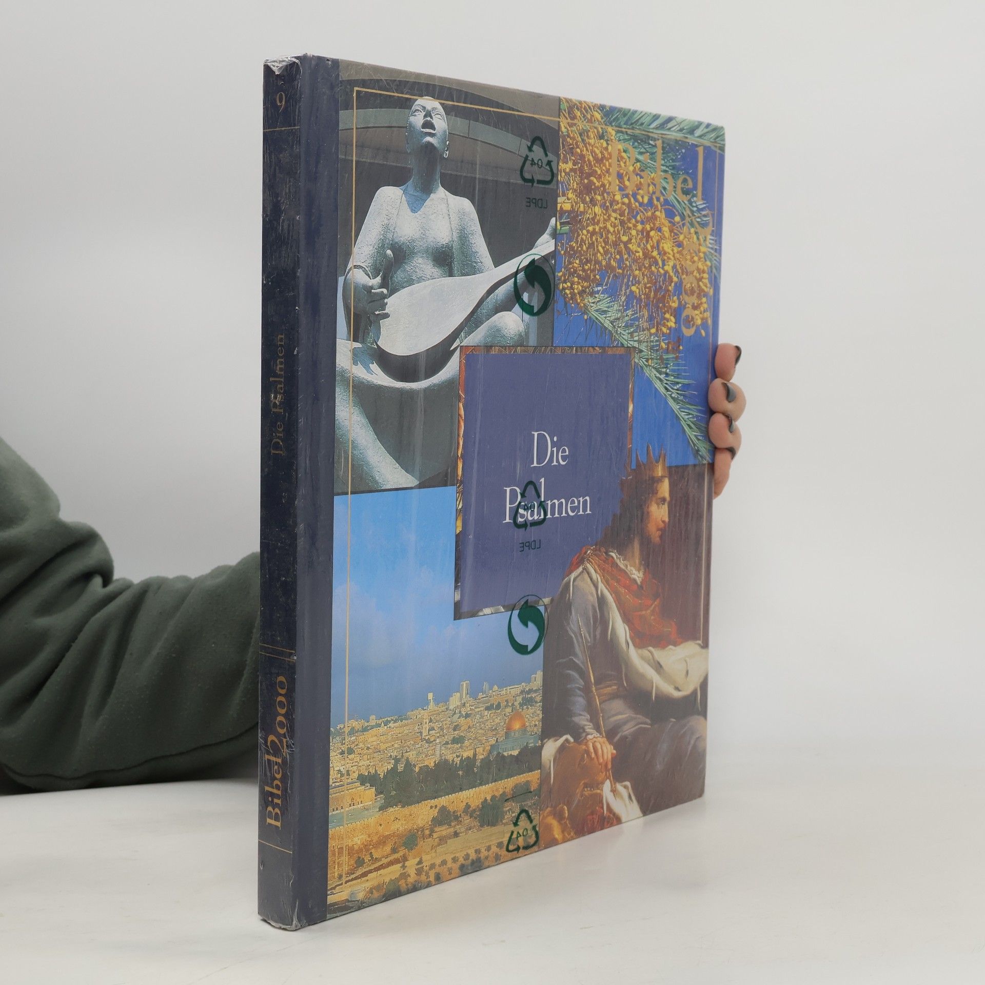 Autorenkollektiv Bibel 2000. Band 9. Die Psalmen