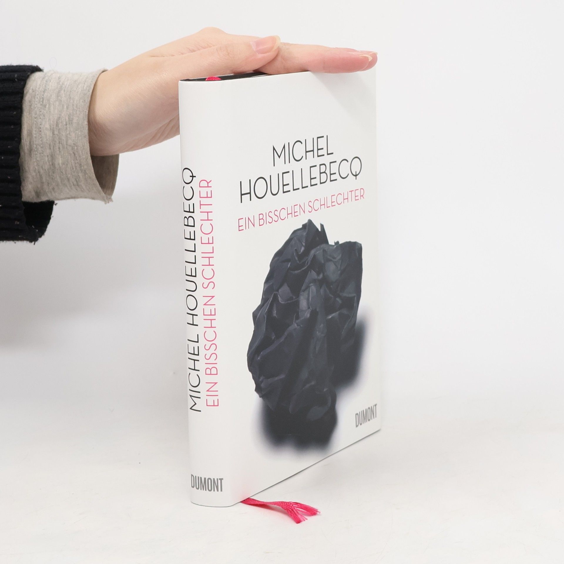 Michel Houellebecq Ein bisschen schlechter
