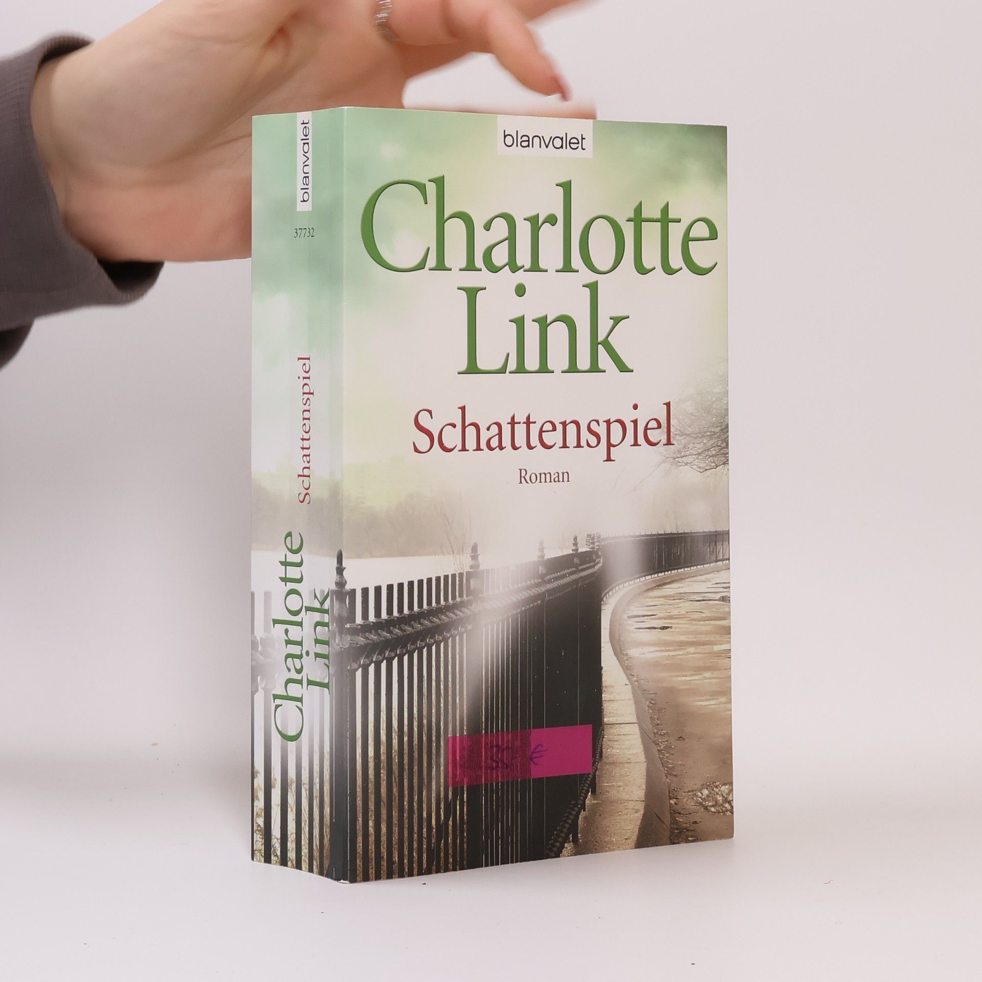 Charlotte Link Schattenspiel