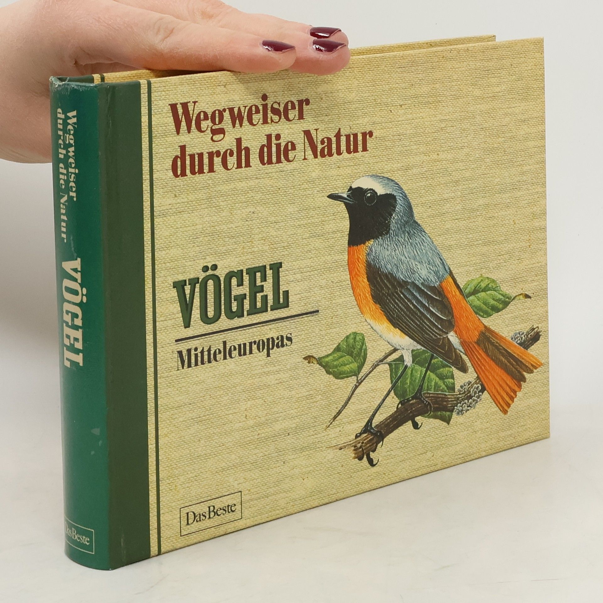 Collectif d'auteurs Wegweiser durch die Natur. Vögel Mitteleuropas