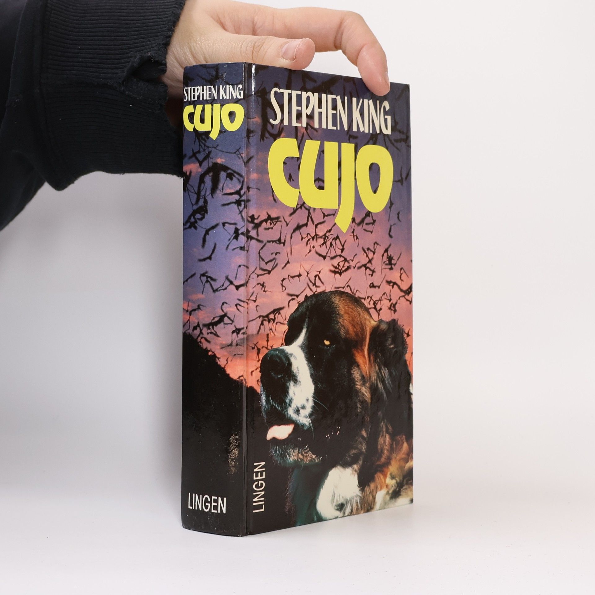 Stephen King Cujo