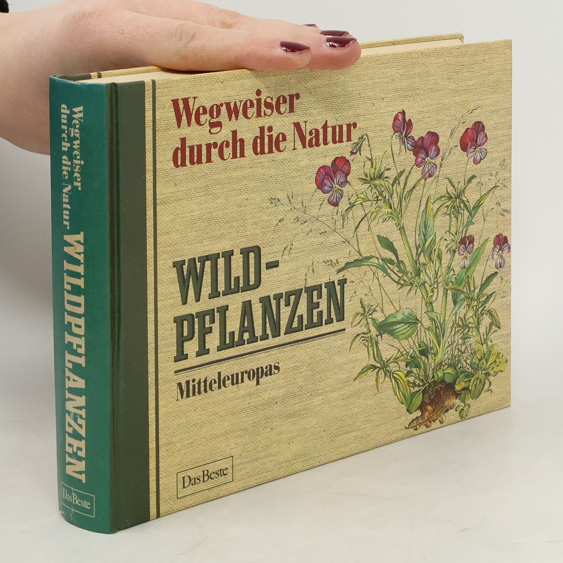 Autores varios Wildpflanzen Mitteleuropas