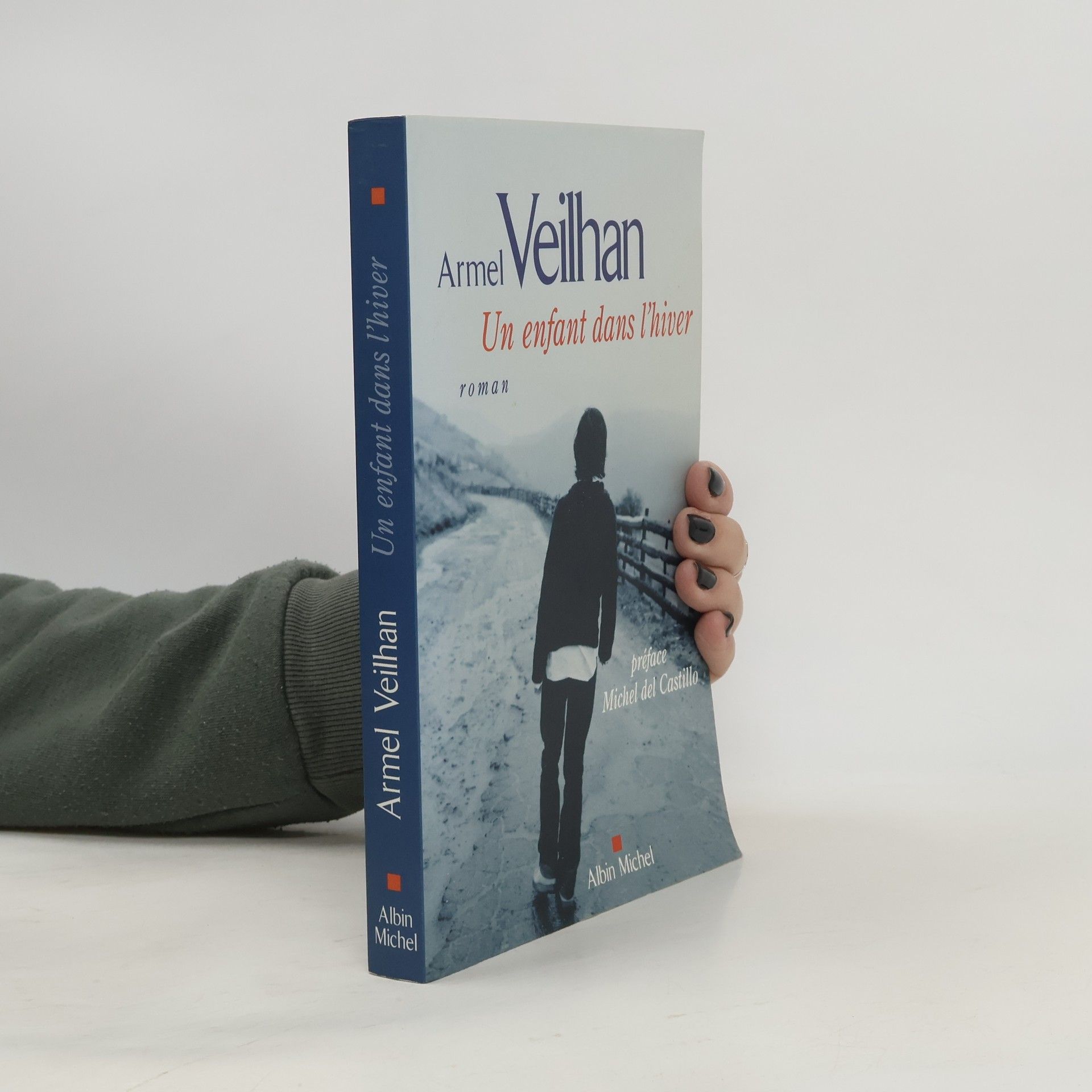 Armel Veilhan Un enfant dans l'hiver