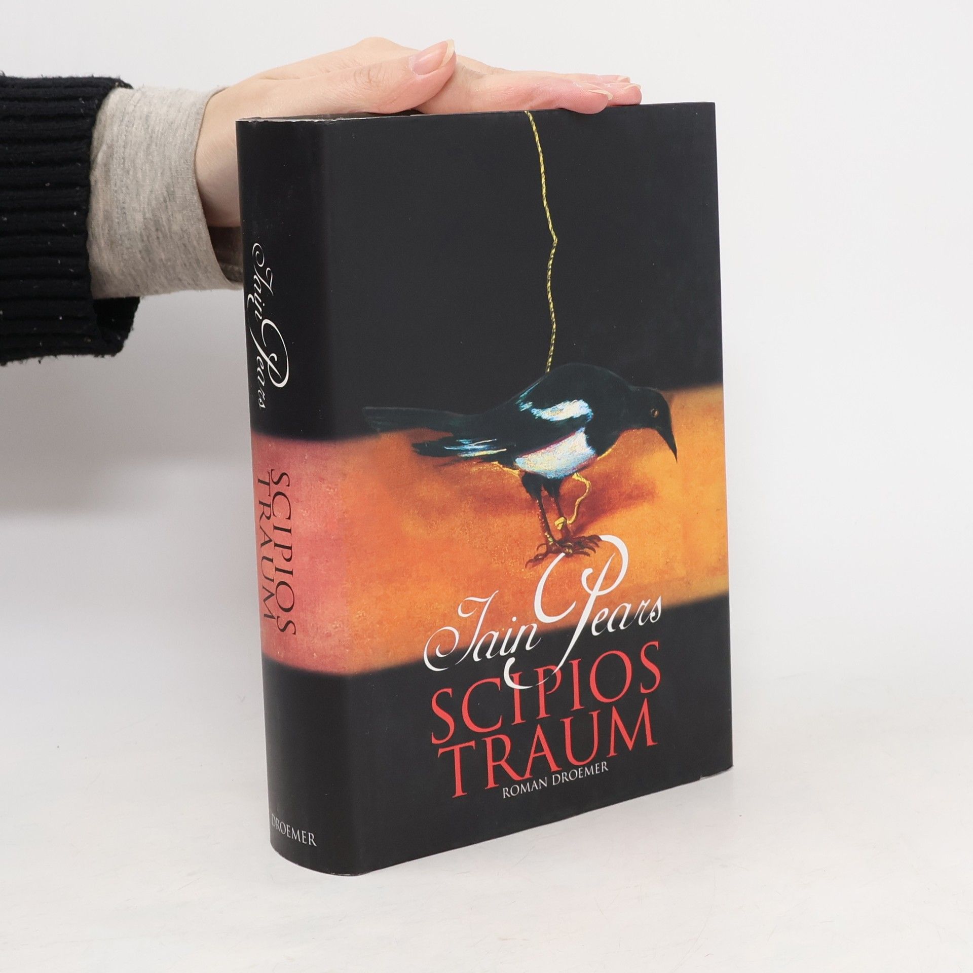 Iain Pears Scipios Traum