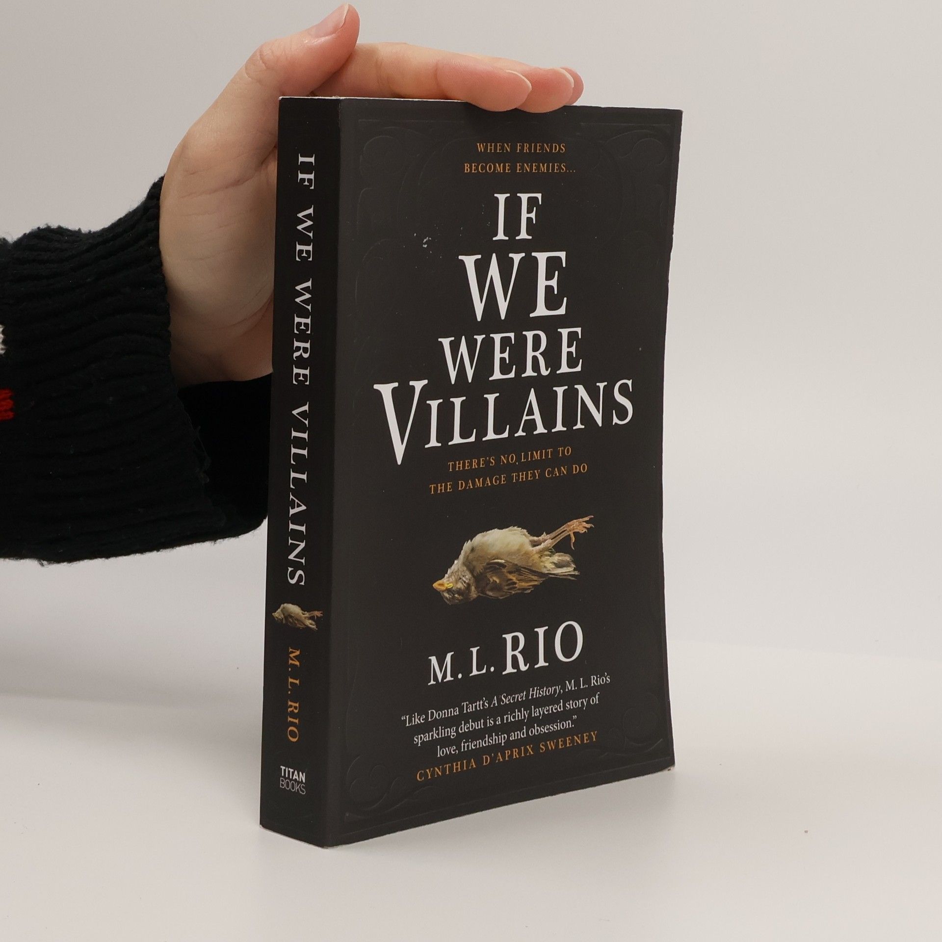 M. L. Rio If We Were Villains