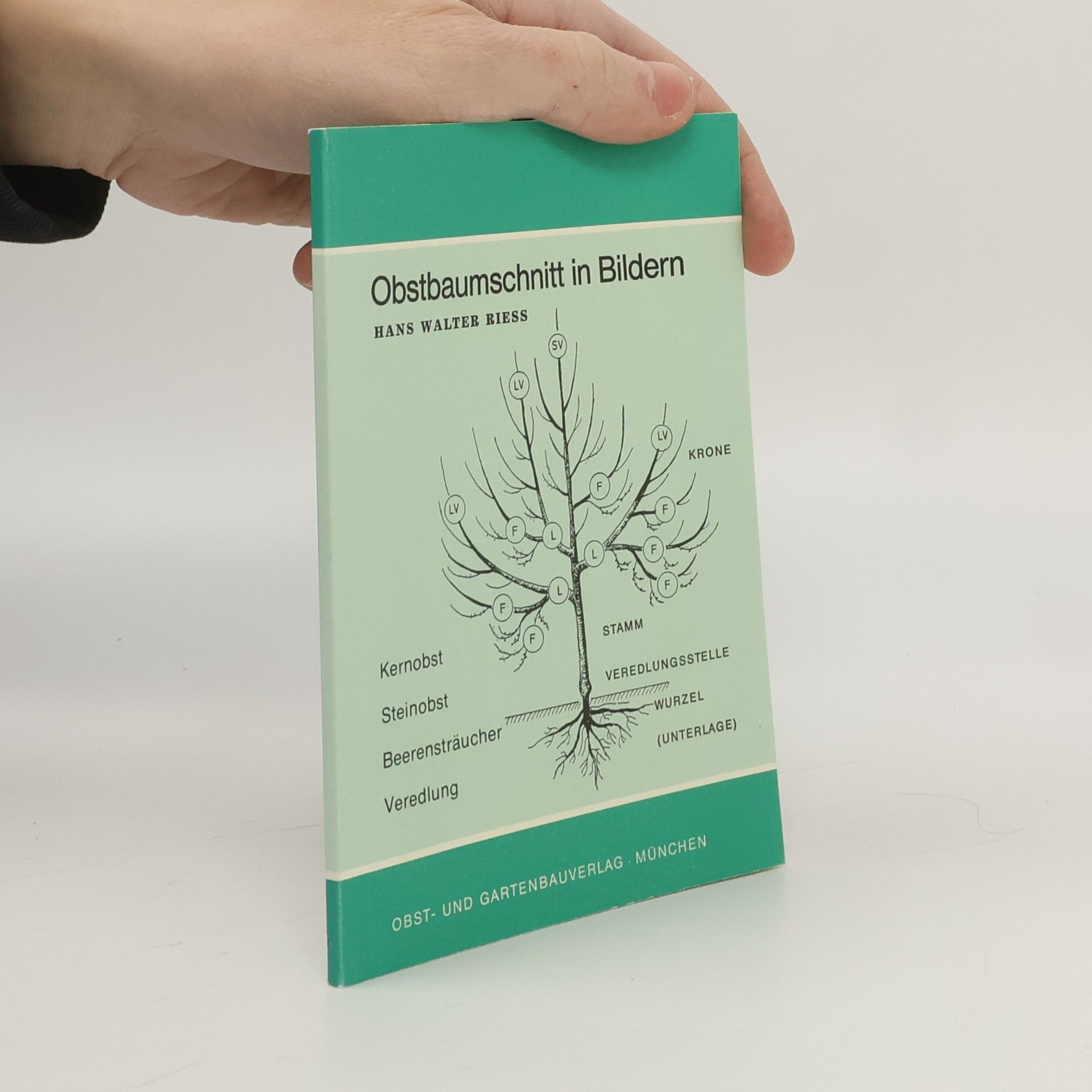 Obstbaumschnitt in Bildern