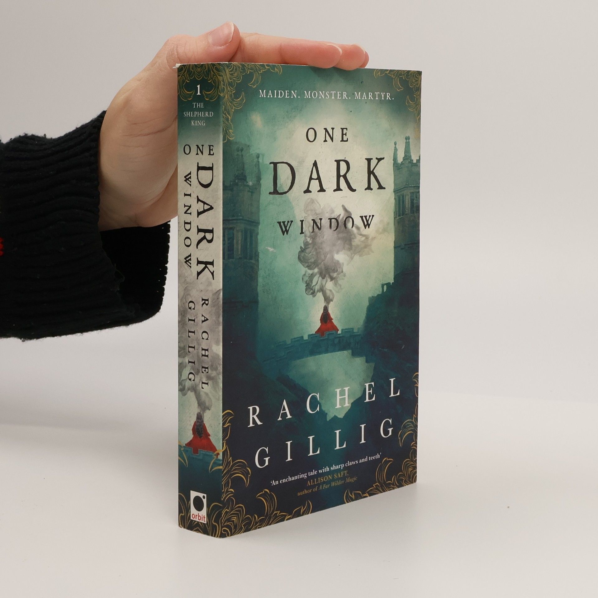 Rachel Gillig One Dark Window