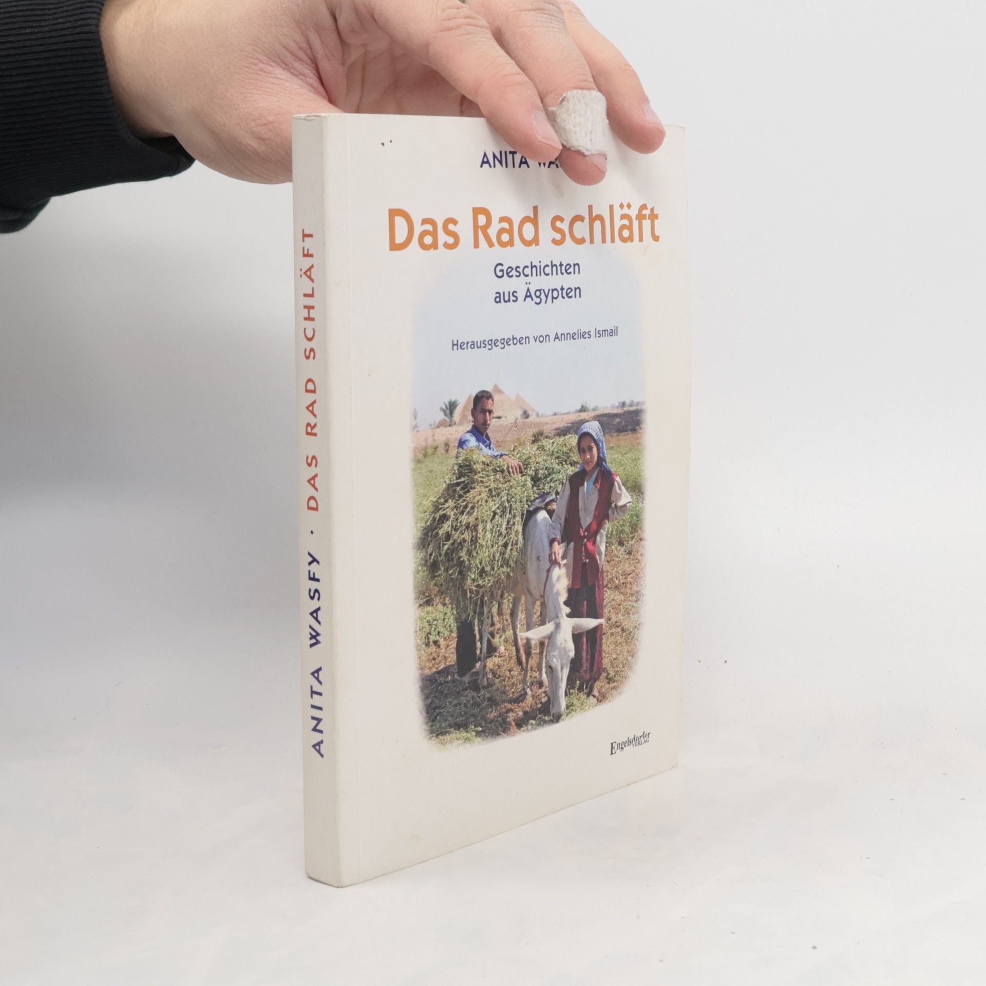 Anita Wasfy Das Rad schläft