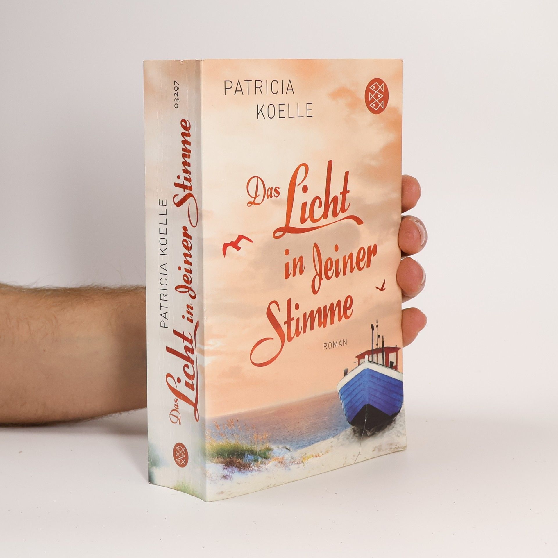 Patricia Koelle Das Licht in deiner Stimme