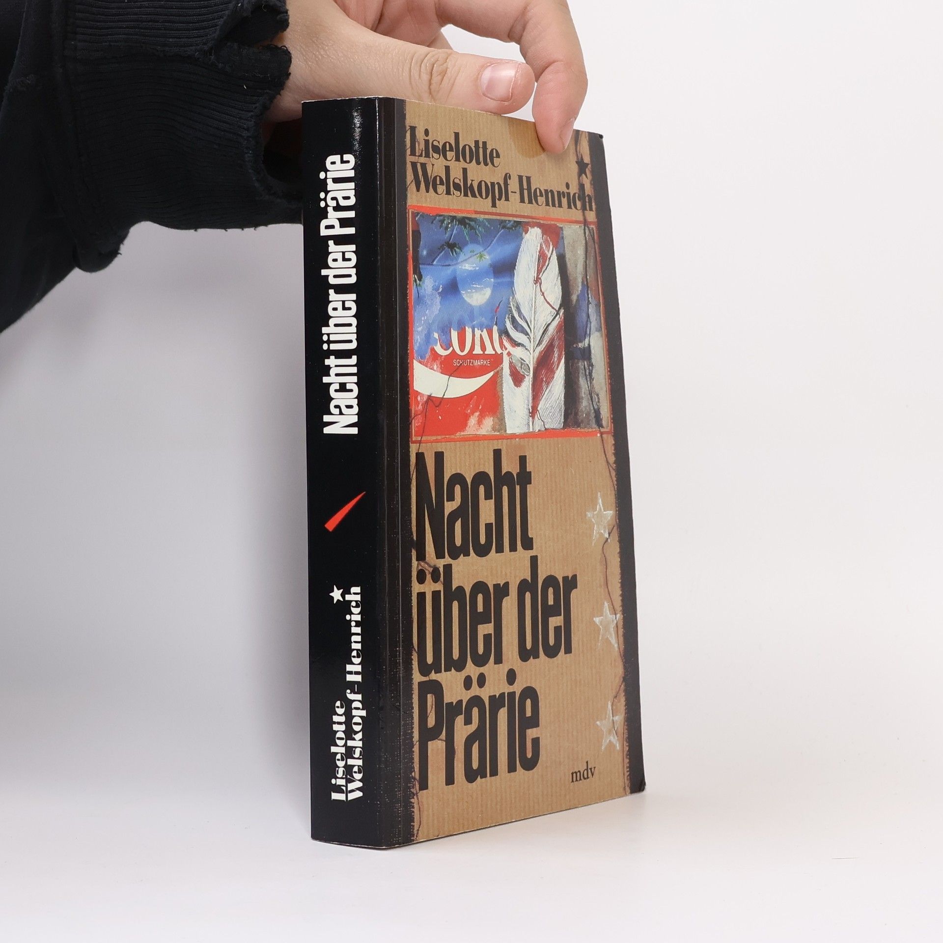 Nacht über der Prärie