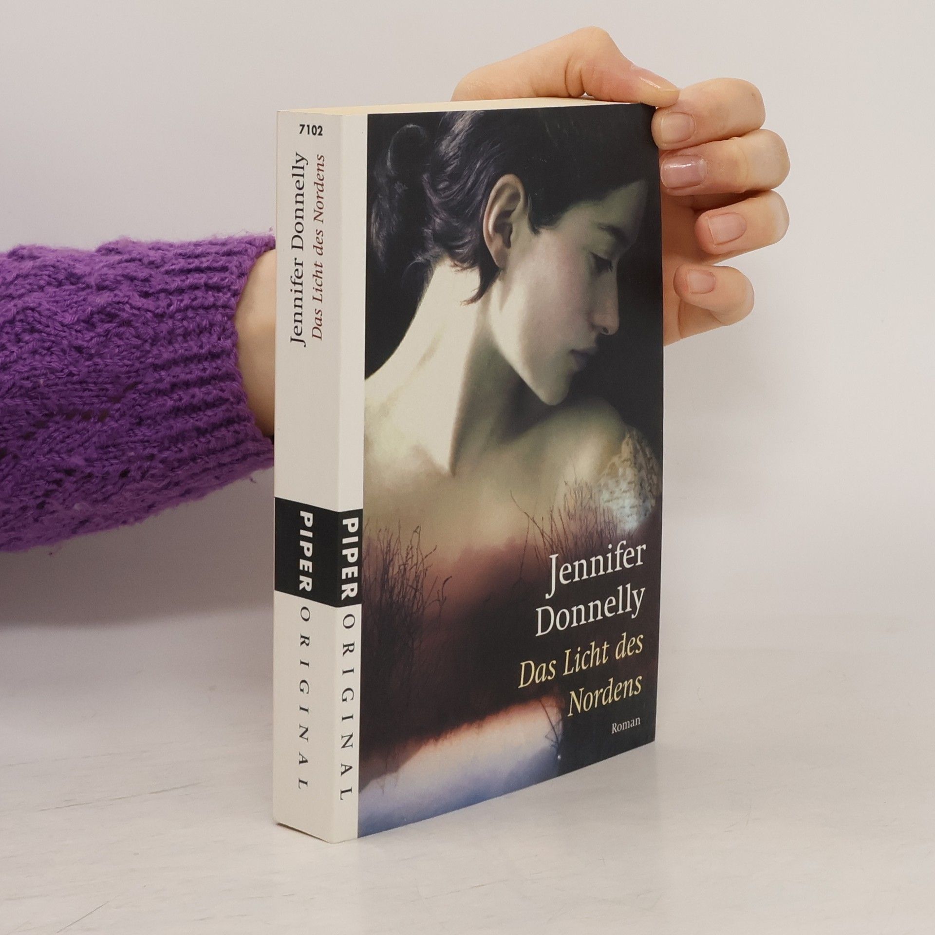 Jennifer Donnelly Das Licht des Nordens