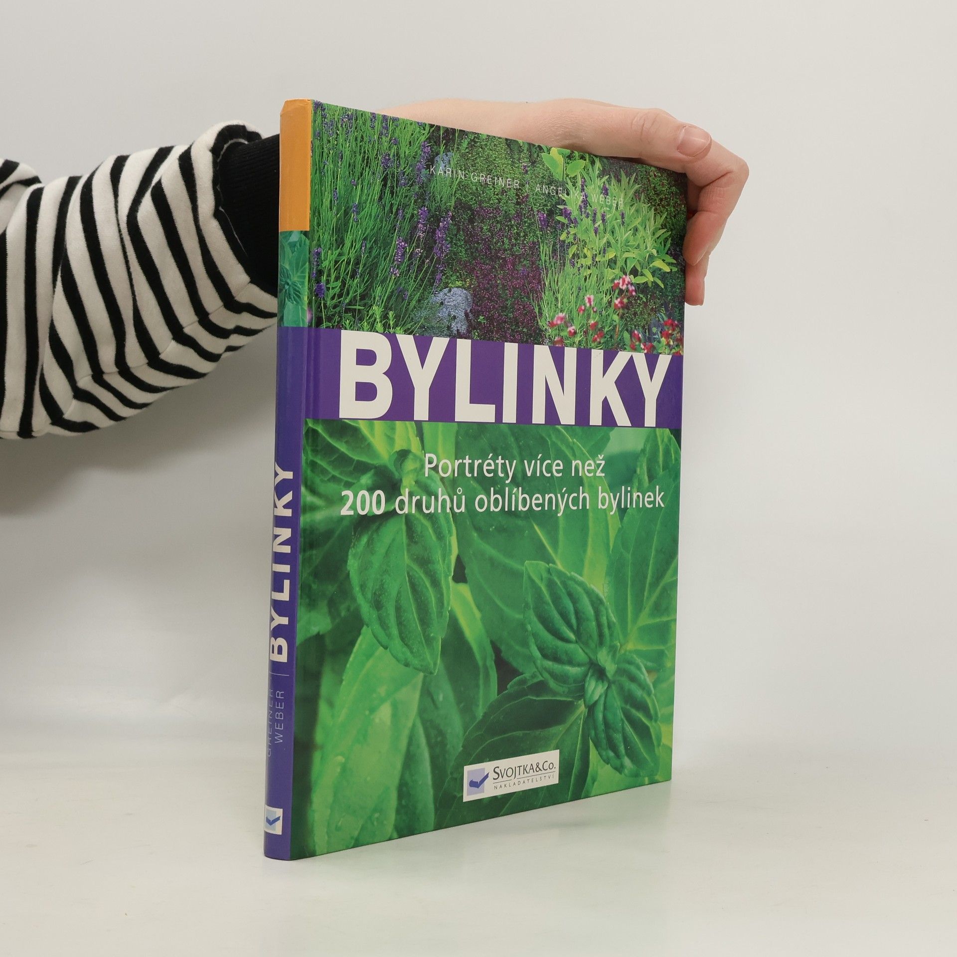 Karin Greiner Bylinky: Nová přehledná kniha s portréty více než 200 druhů oblíbených bylinek