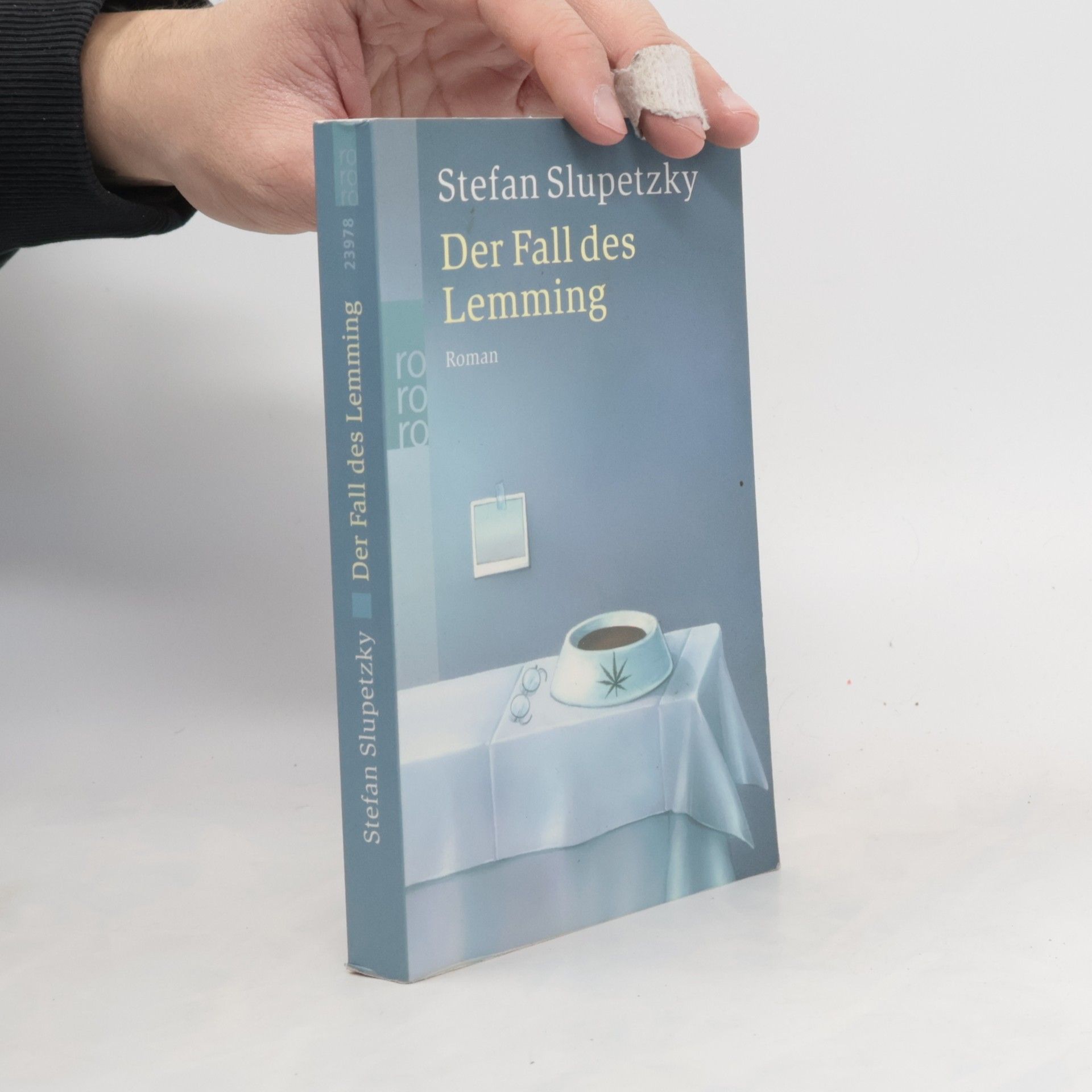 Stefan Slupetzky Der Fall des Lemming