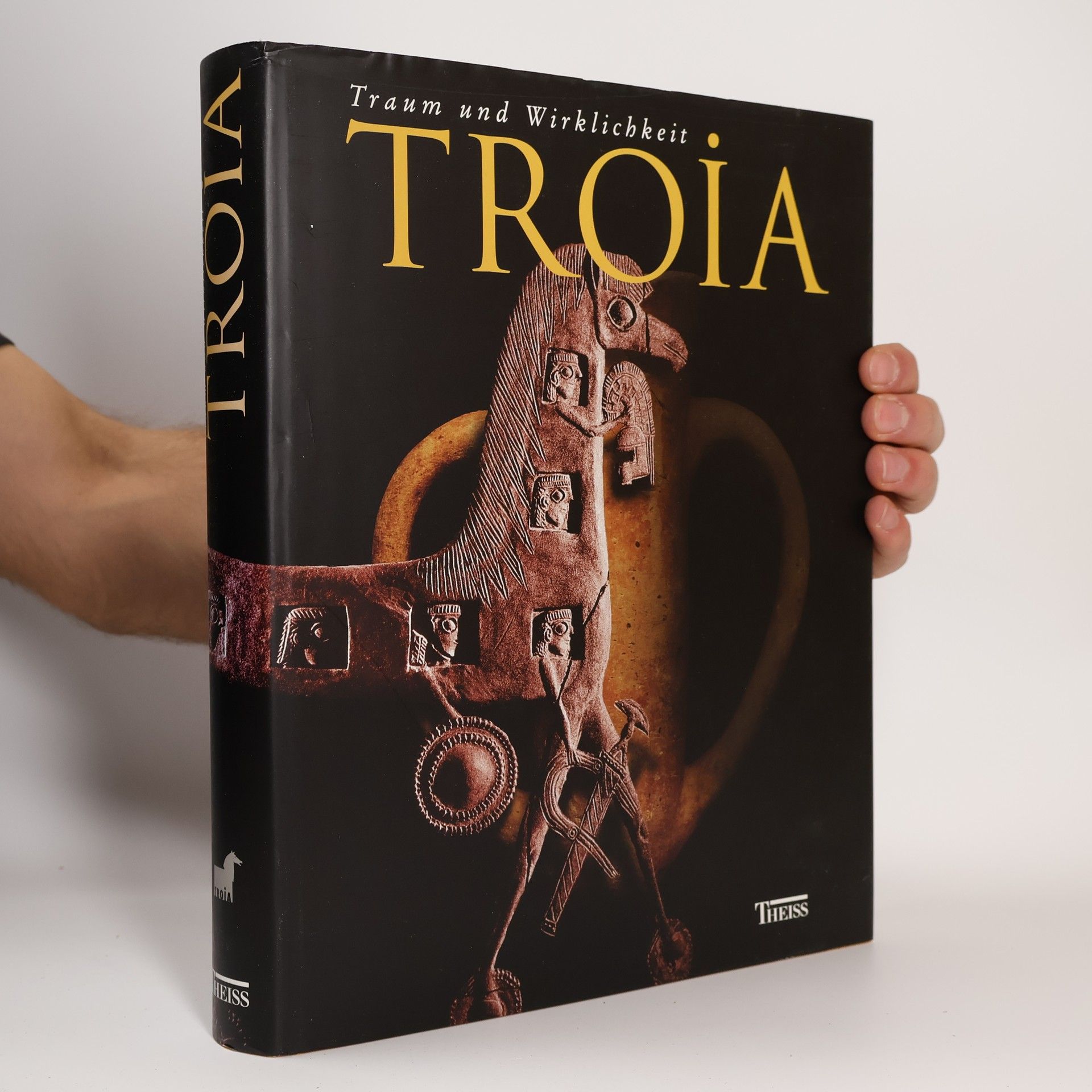 Autorenkollektiv Troia : Traum und wirklichkeit