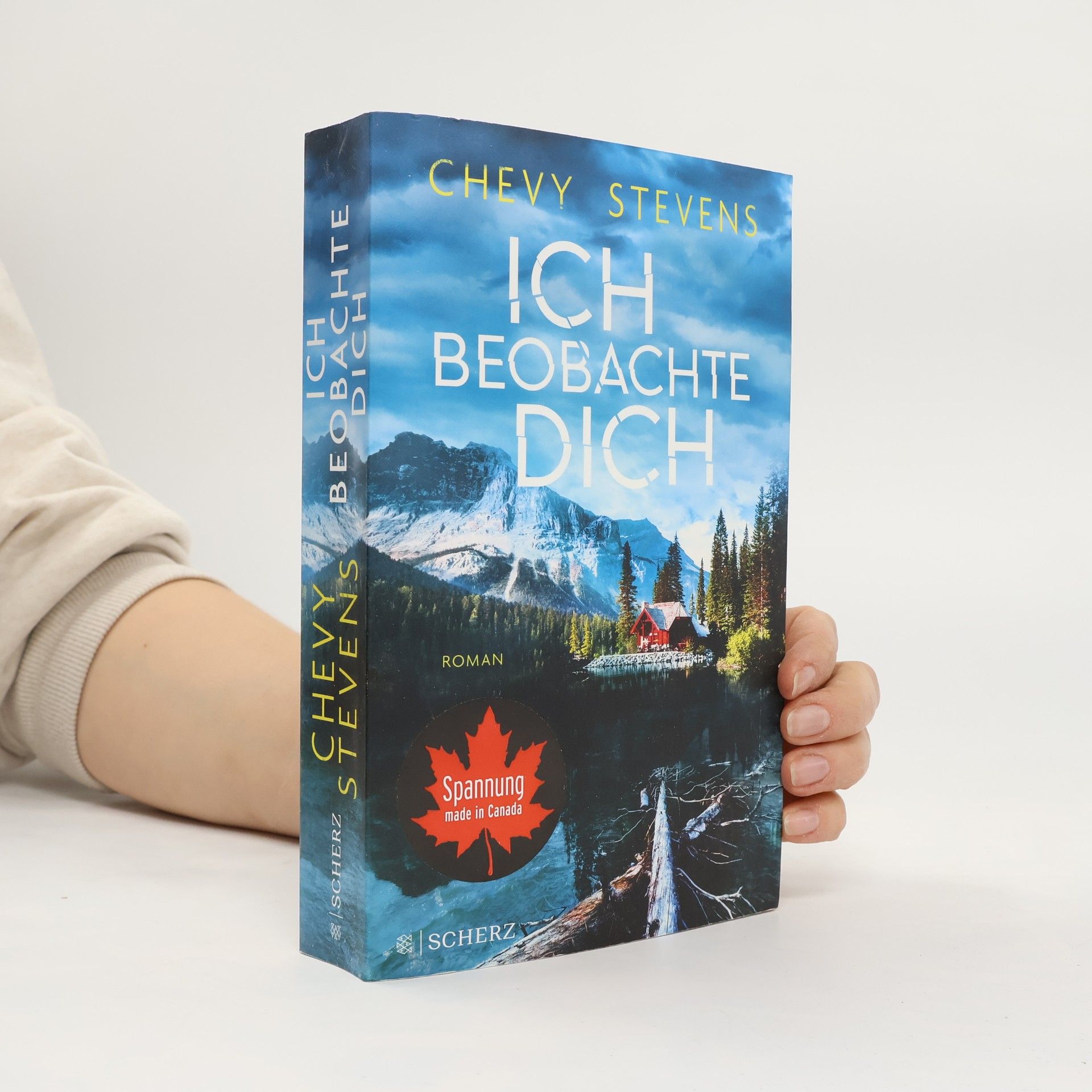 Chevy Stevens Ich beobachte dich