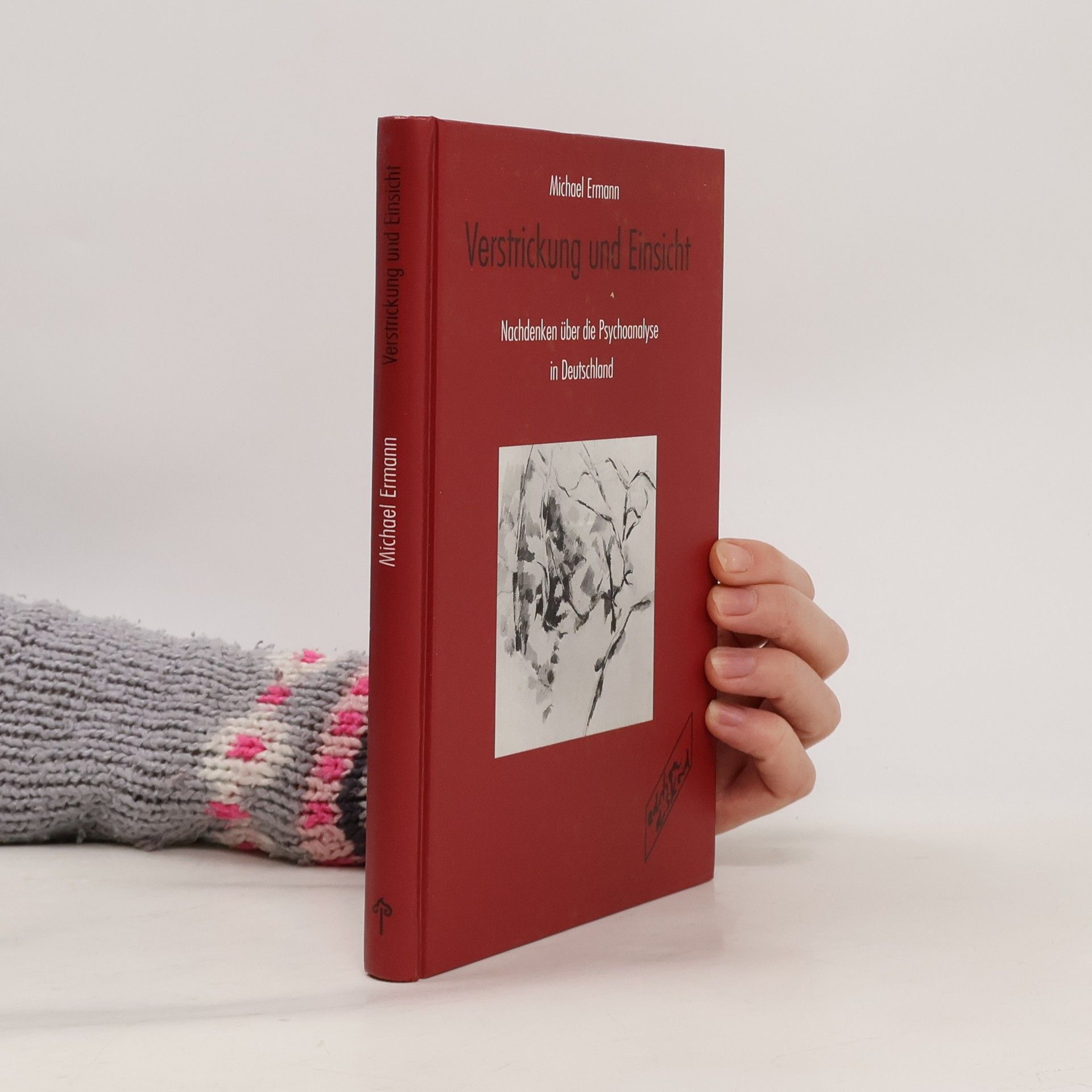 Michael Ermann Verstrickung und Einsicht