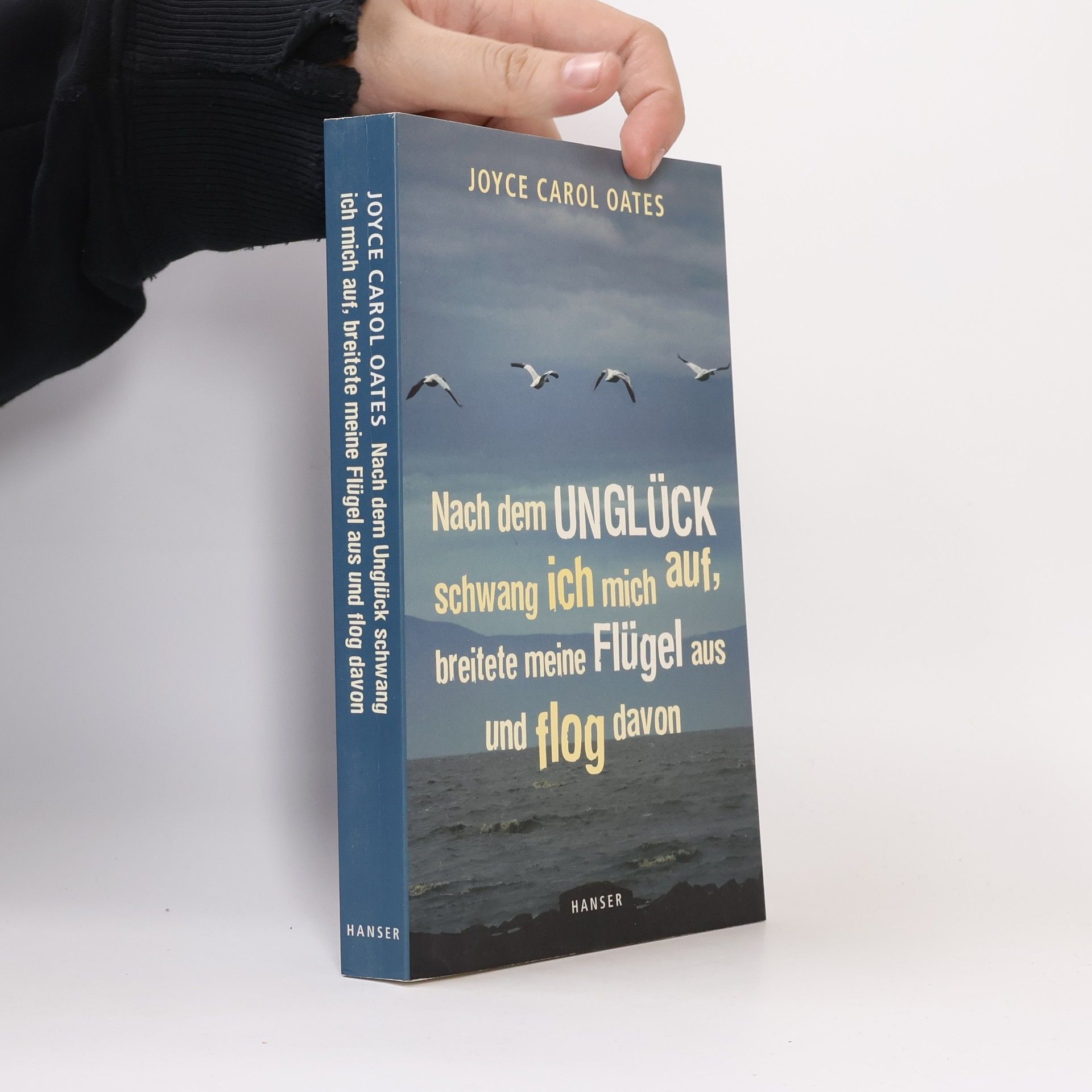 Joyce Carol Oates Nach dem Unglück schwang ich mich auf, breitete meine Flügel aus und flog davon