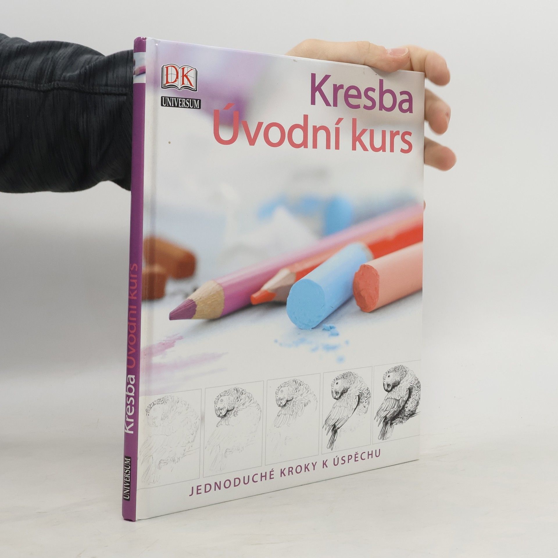 Kresba. Úvodní kurs