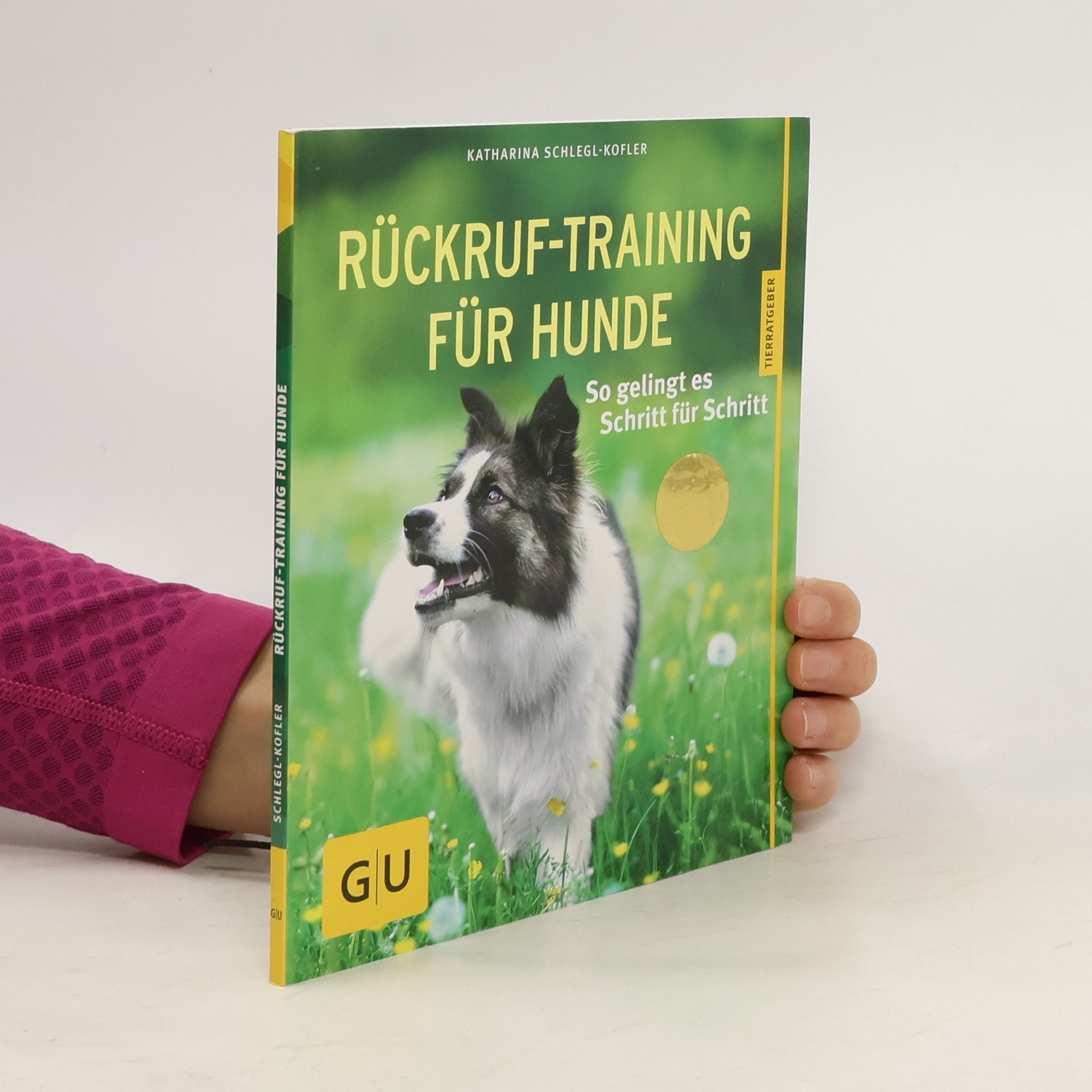 Rückruf-Training für Hunde