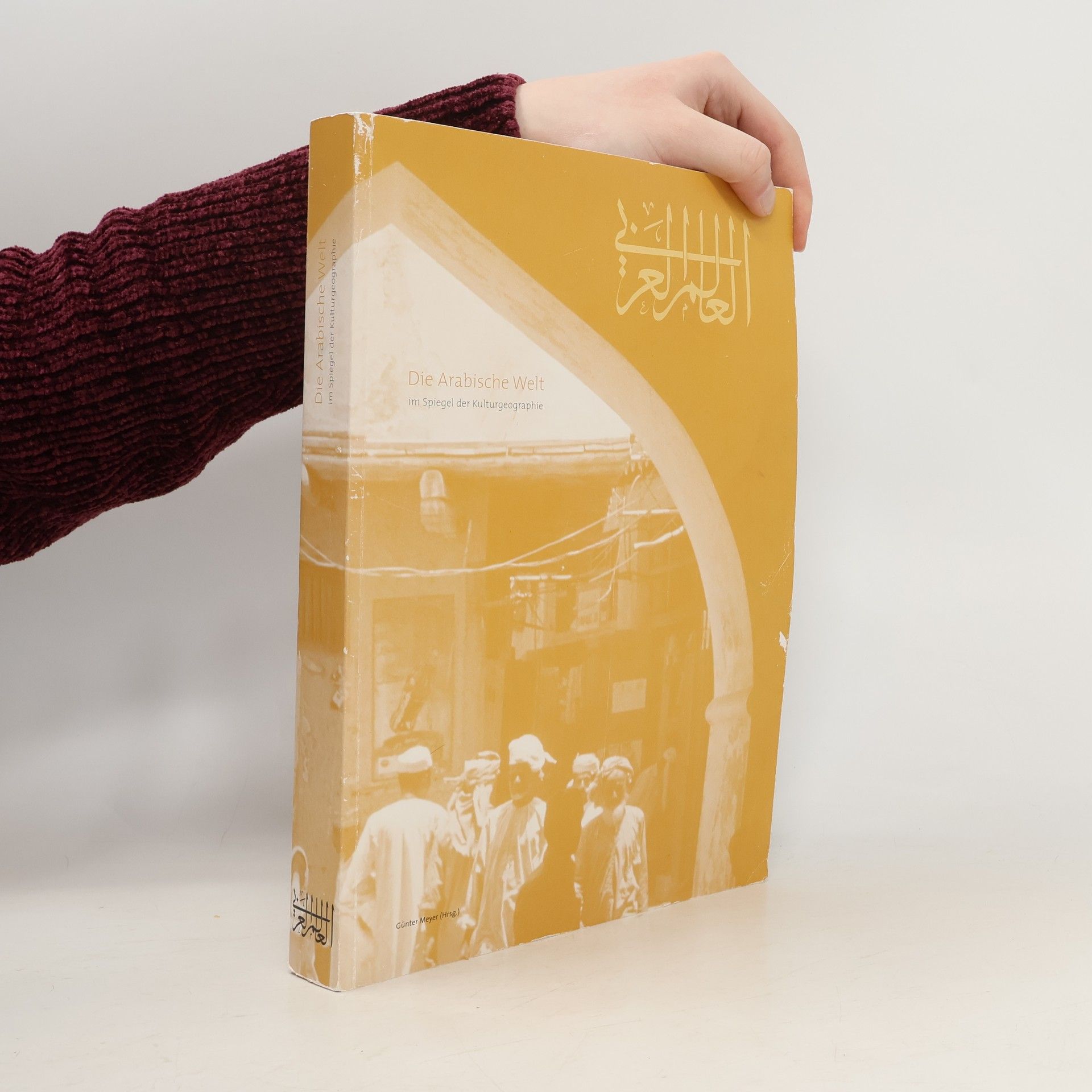 Die Arabische Welt im Spiegel der Kulturgeographie