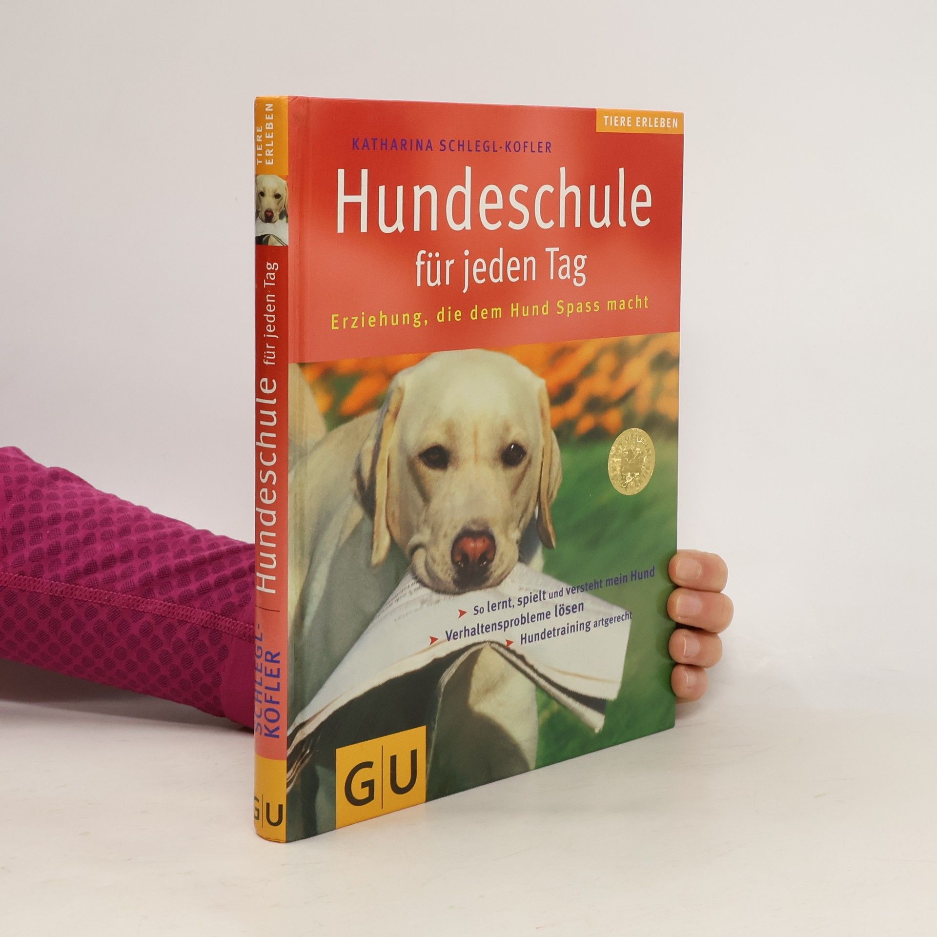 Hundeschule für jeden Tag