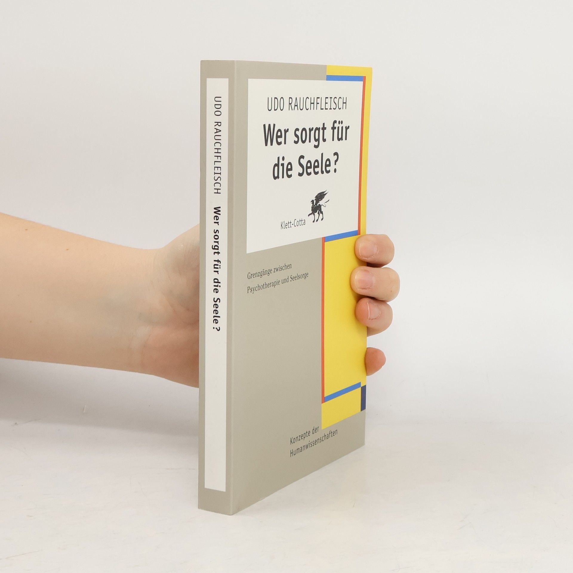 Udo Rauchfleisch Wer sorgt für die Seele?