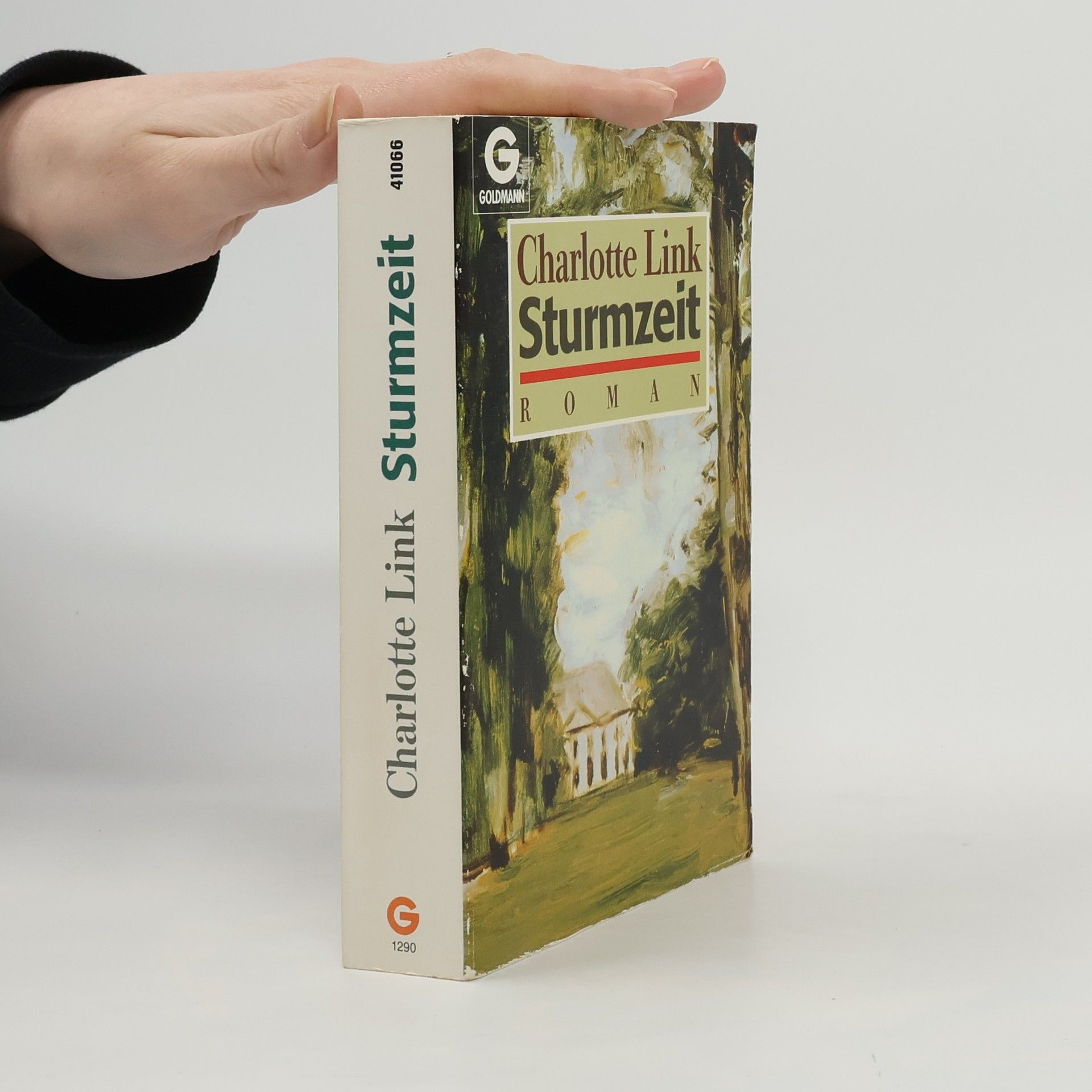 Charlotte Link Sturmzeit