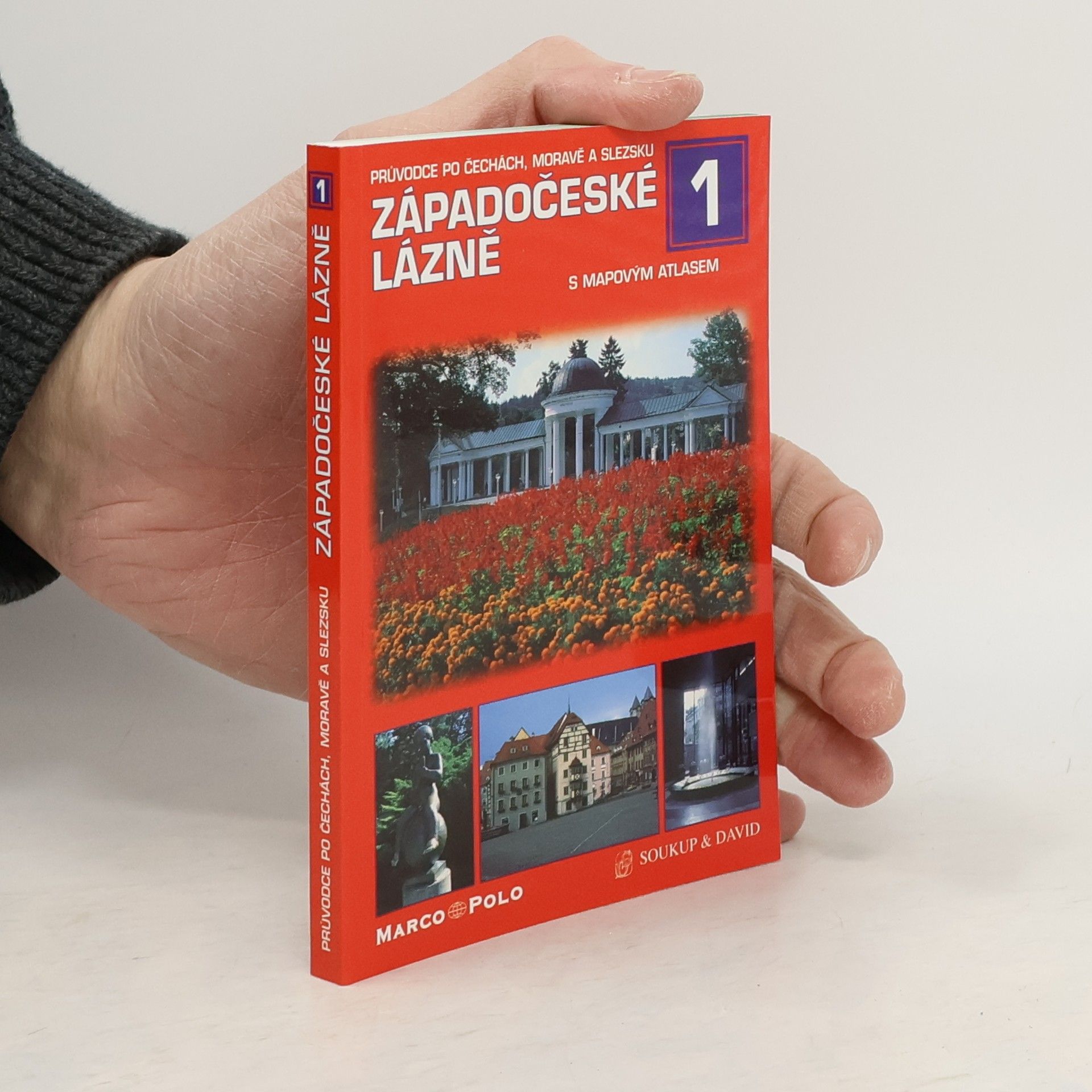 P. David Západočeské lázně