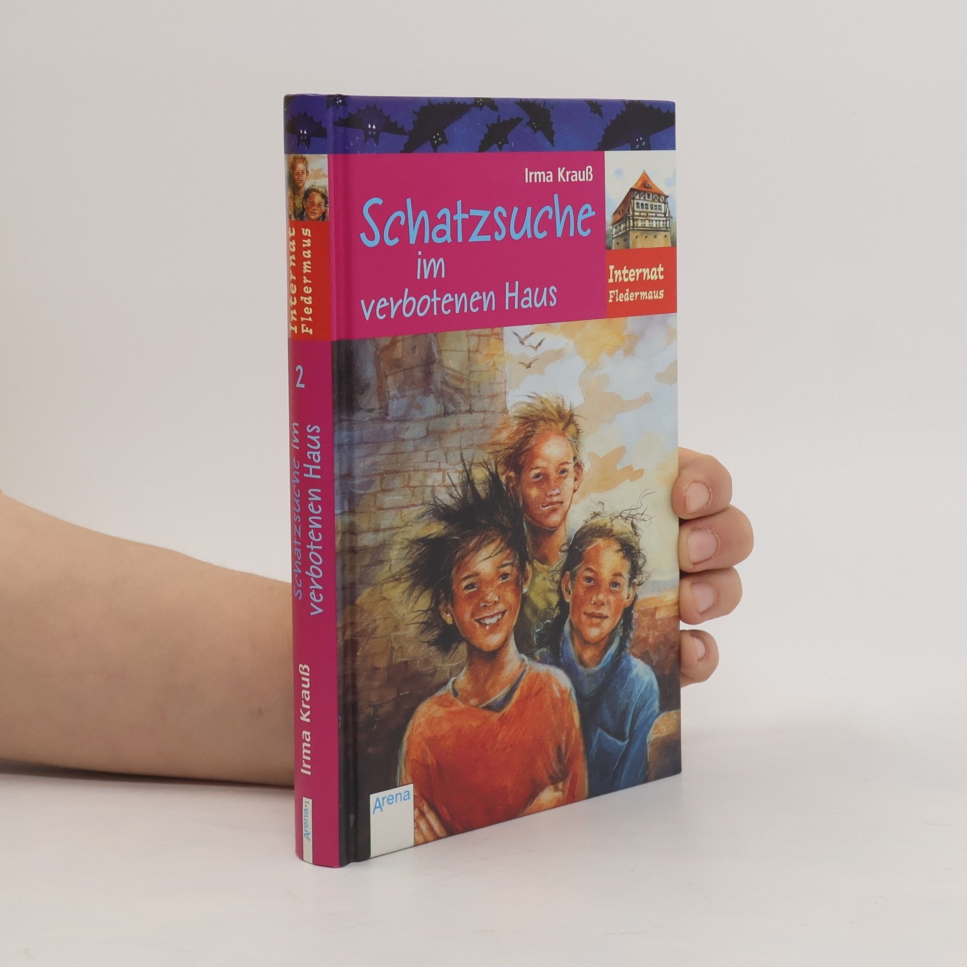 Irma Krauß Die Schatzsuche im verbotenen Haus