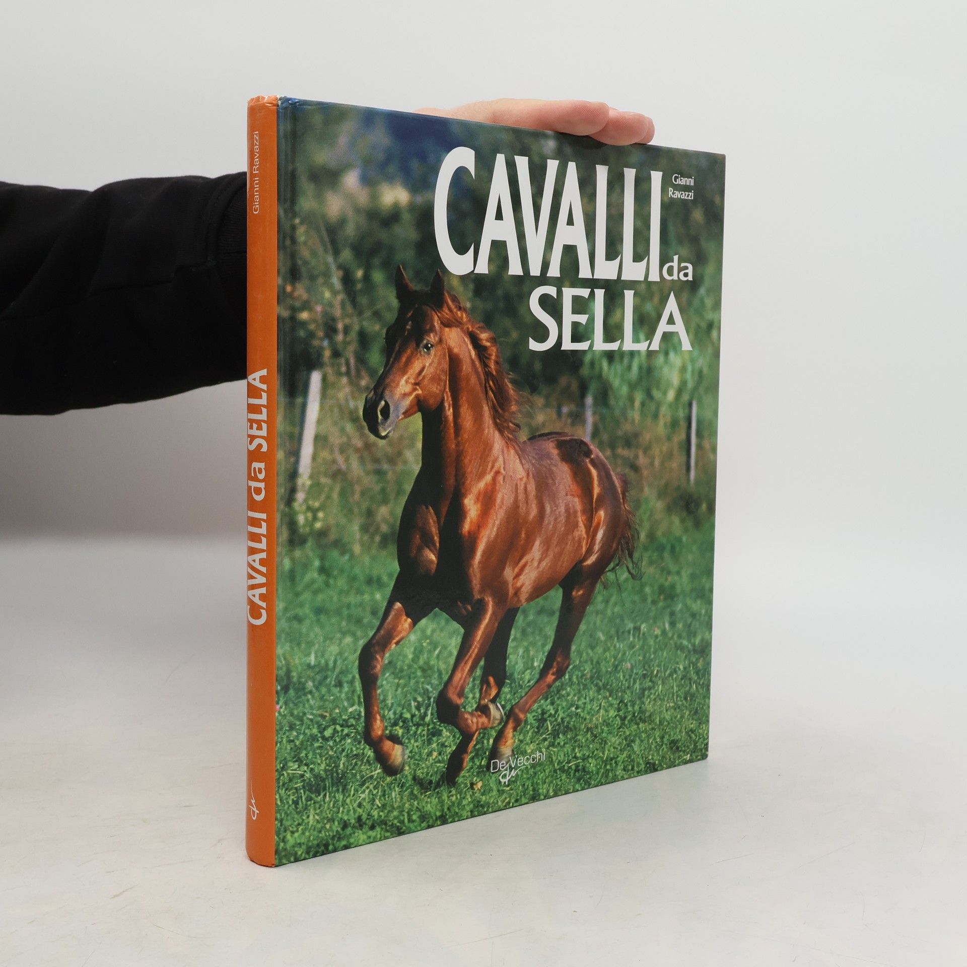 Gianni Ravazzi Cavalli da sella