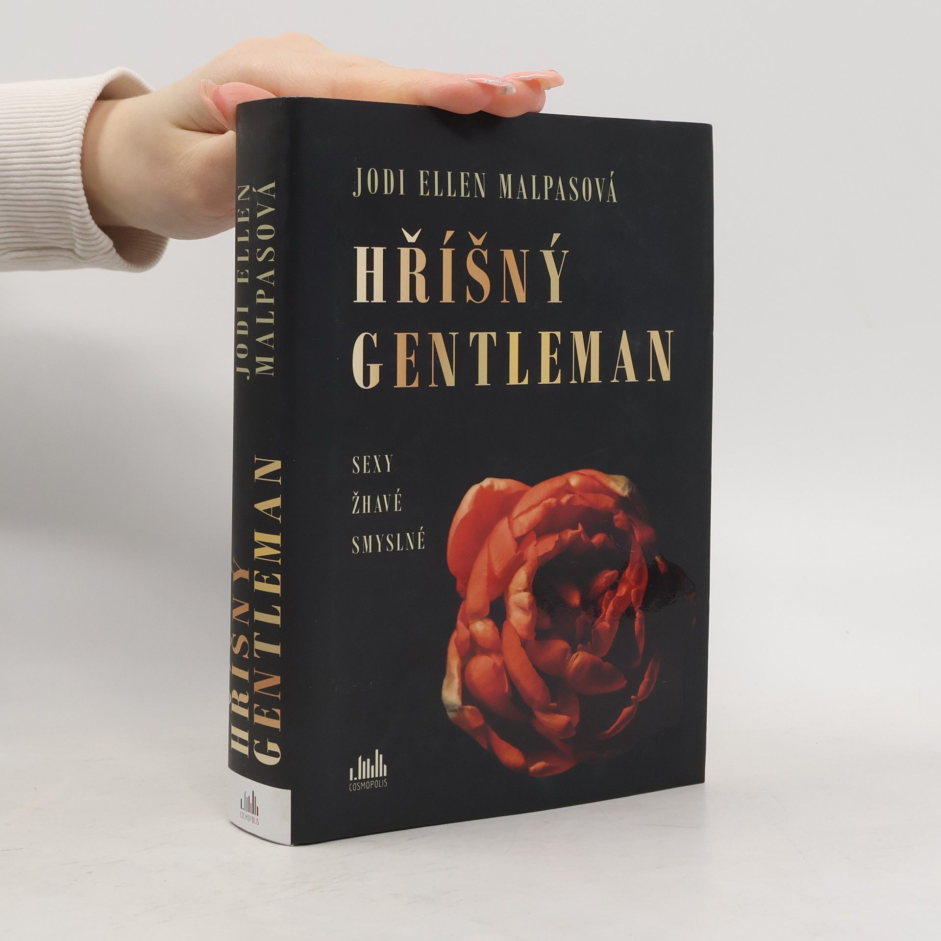 Jodi Ellen Malpas Hříšný gentleman